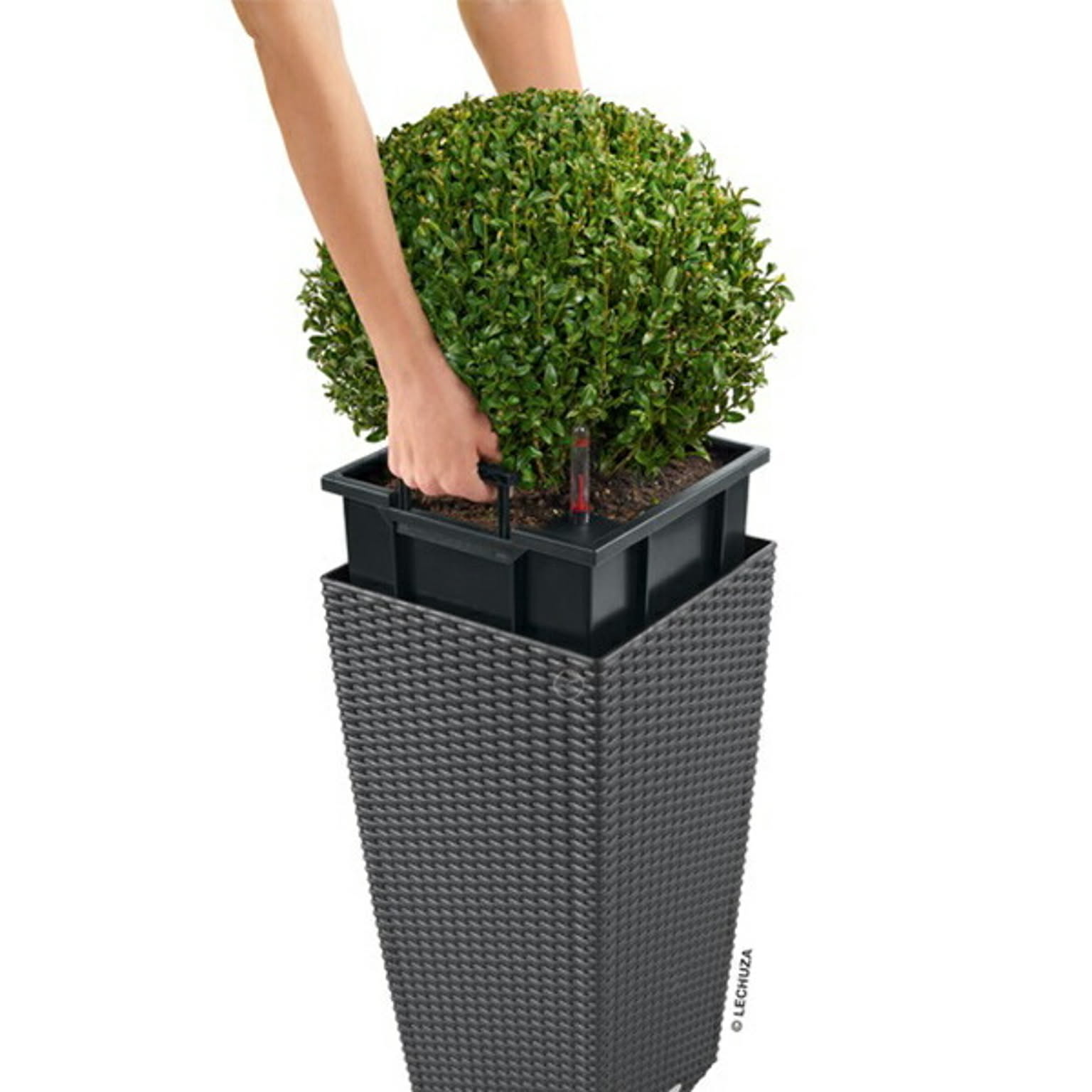 プランター・植木鉢