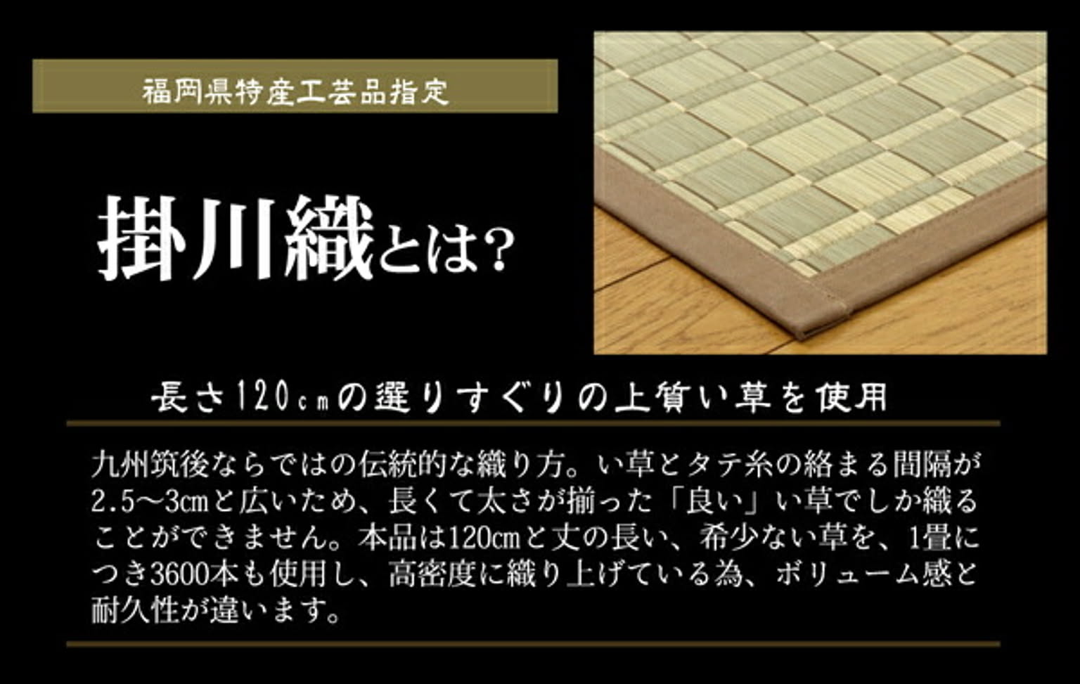 ござ・い草ラグ