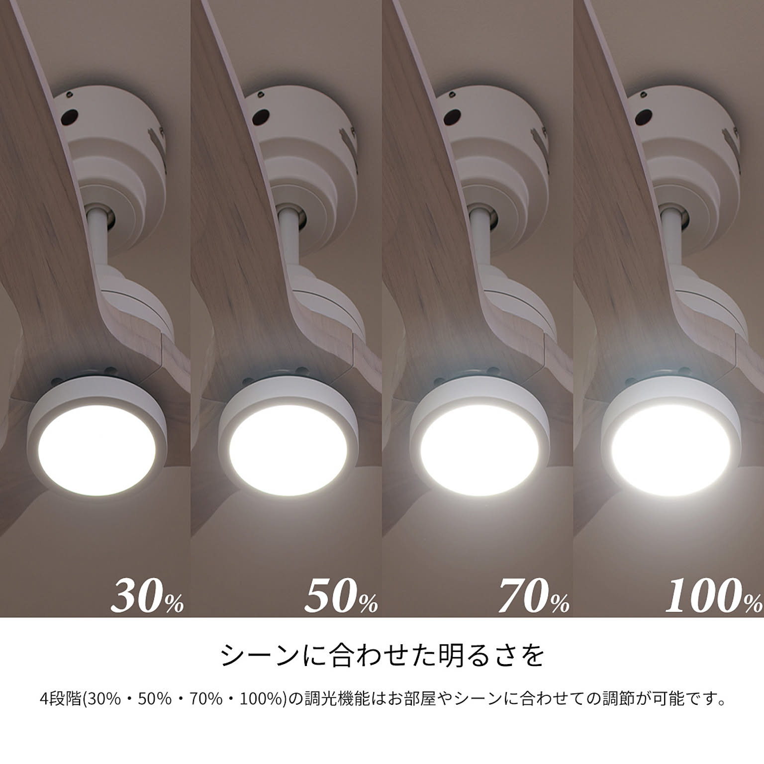 シーリングファンライト