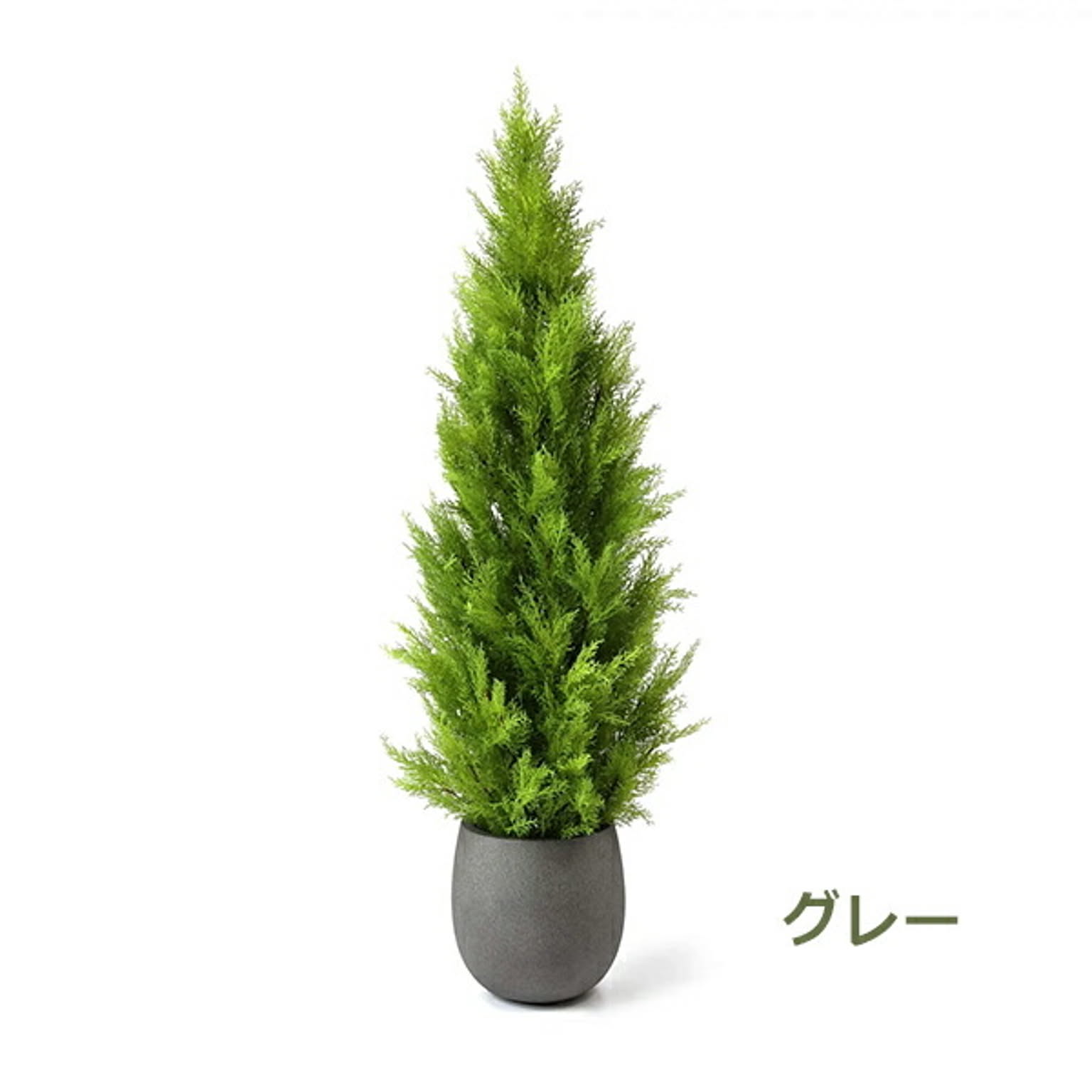 GREENPARK ゴールドクレストM エッグポット H155cm PRGR-1247 プリマ
