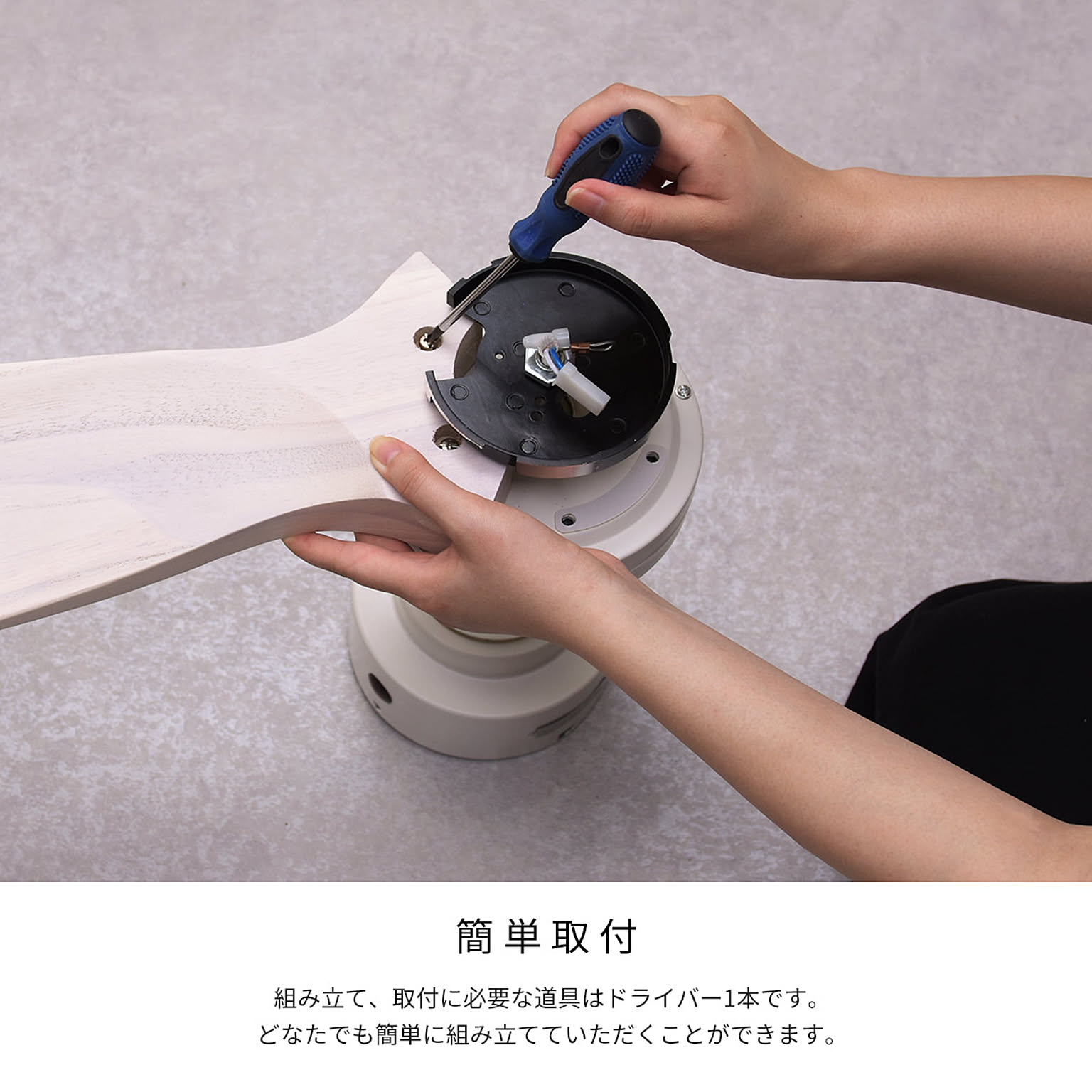 シーリングファンライト