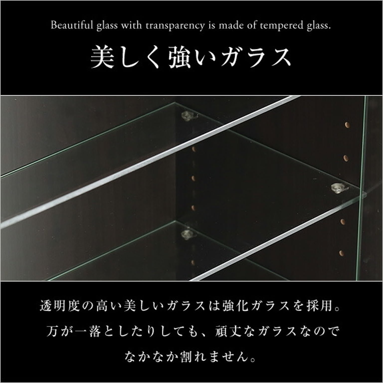 コレクションケース