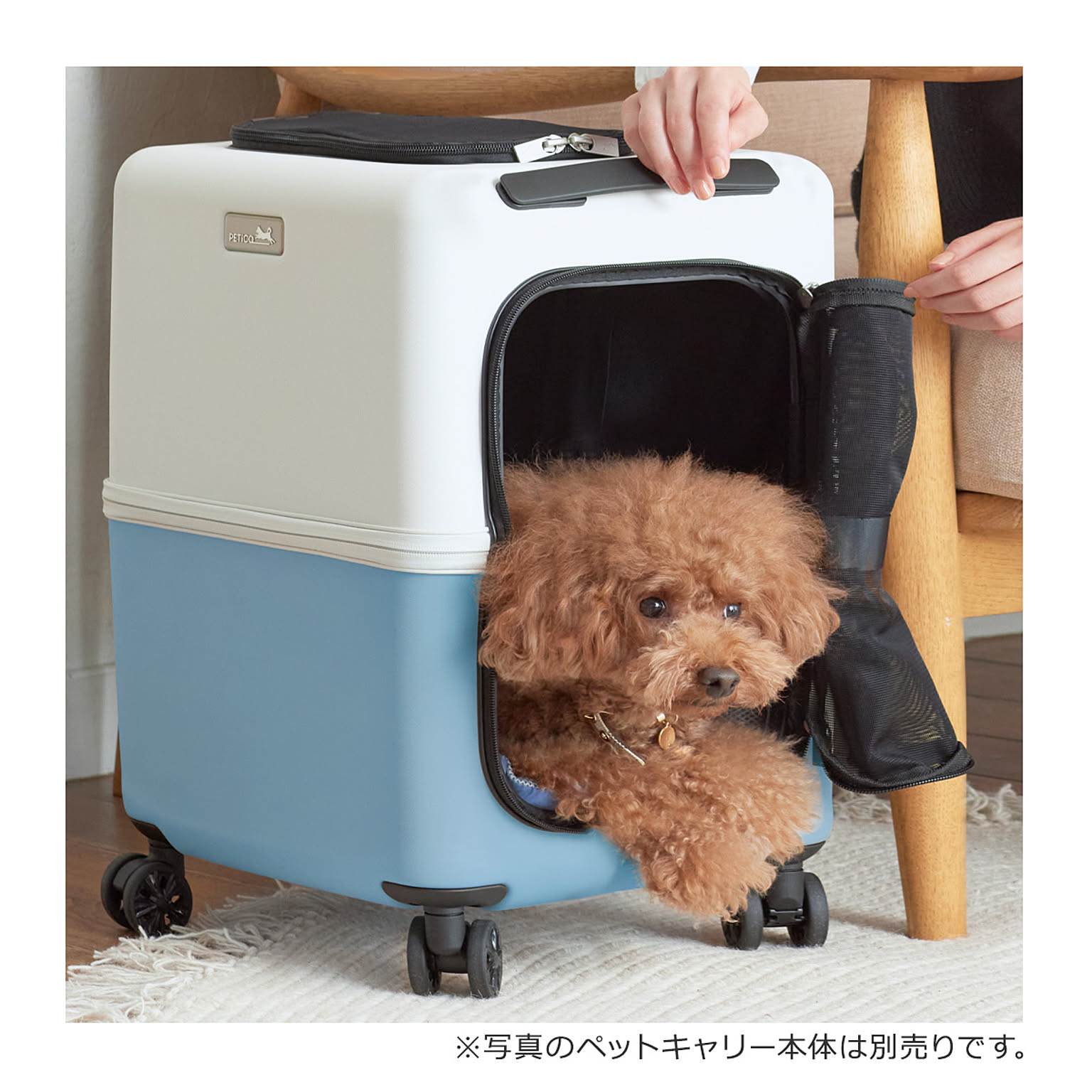 犬用インテリア・犬用家具