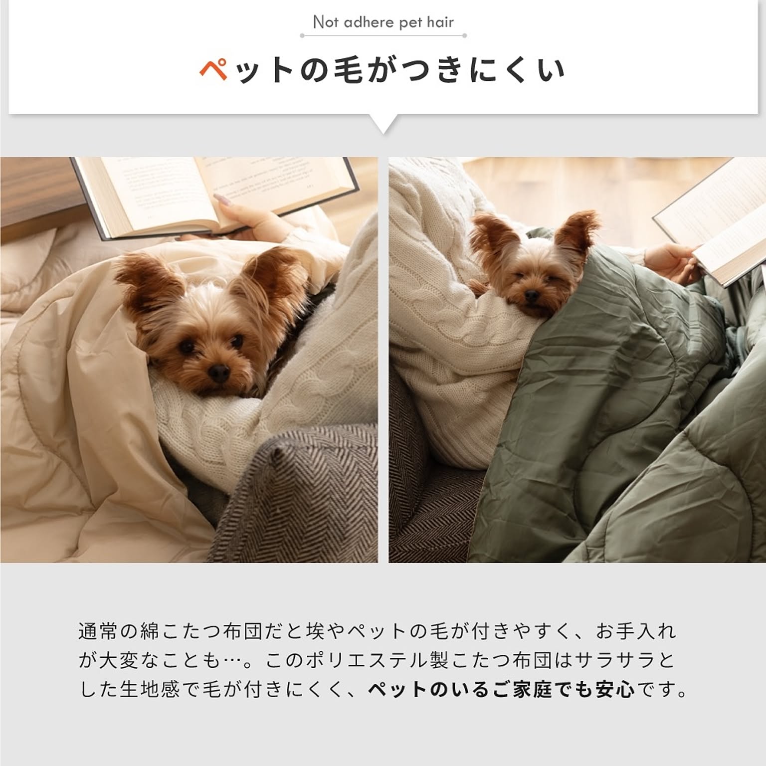 こたつ布団