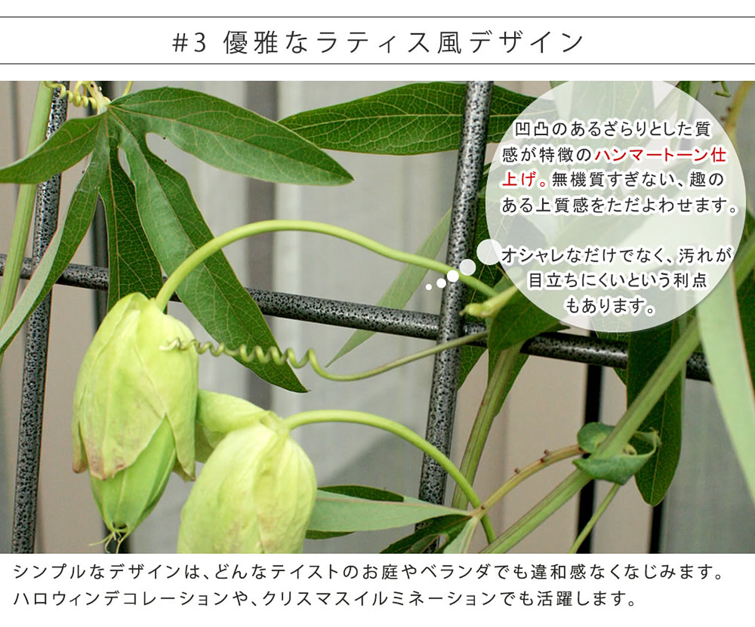 エクステリア