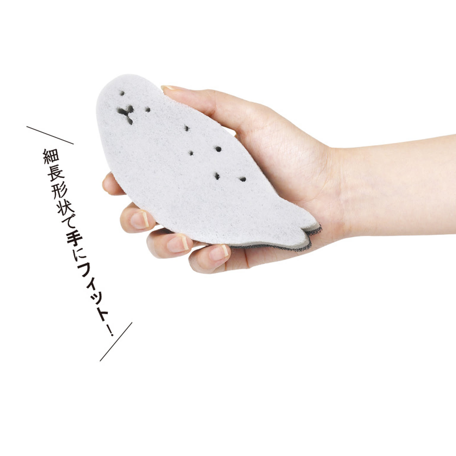 スポンジ