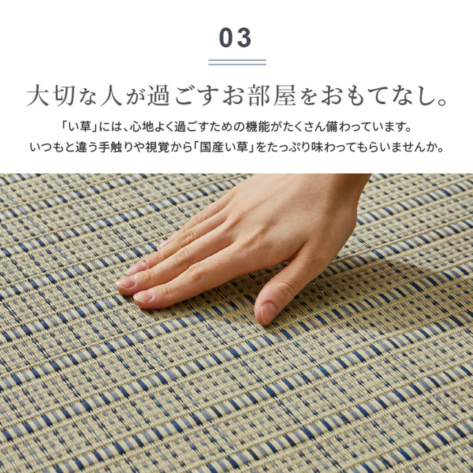 ござ・い草ラグ