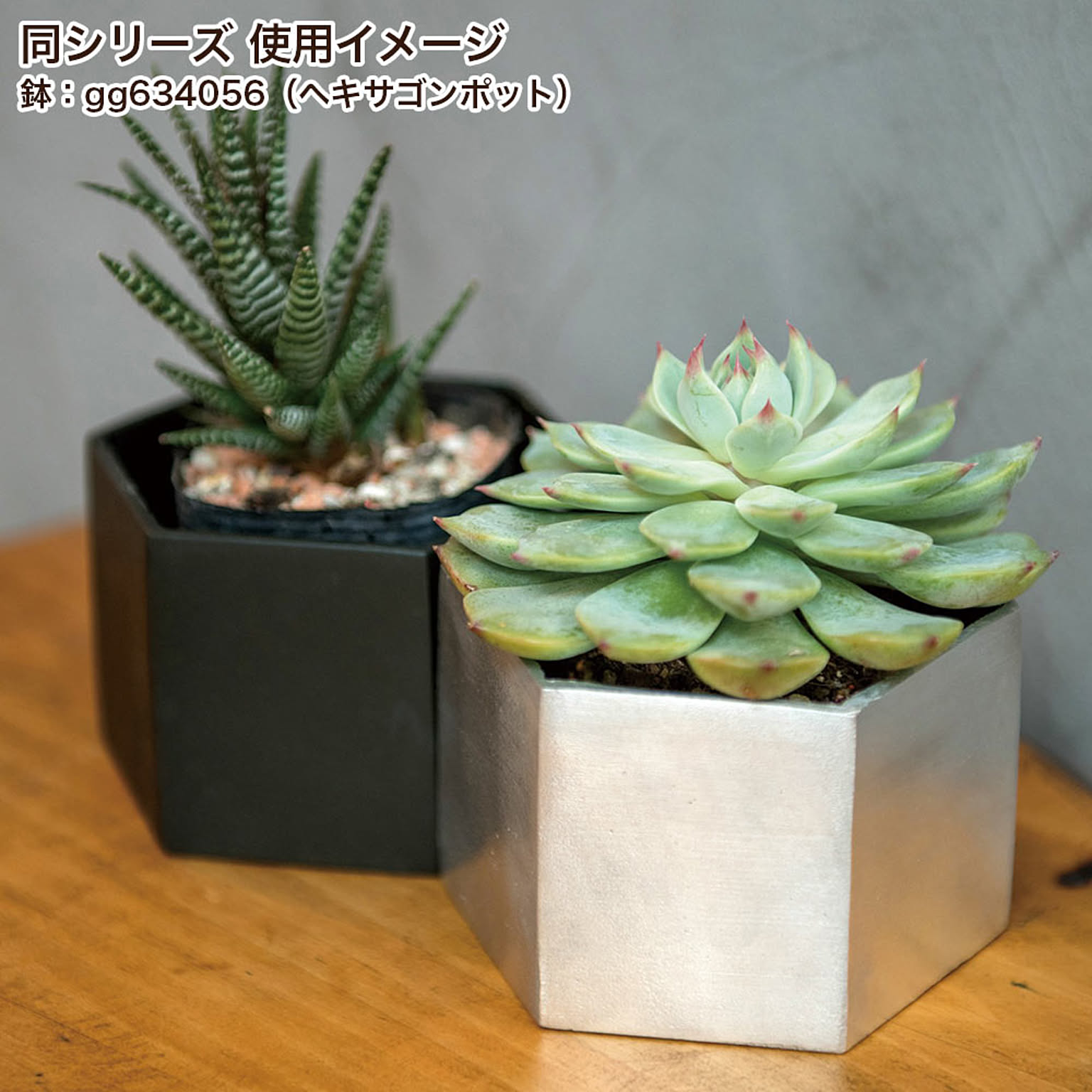 プランター・植木鉢