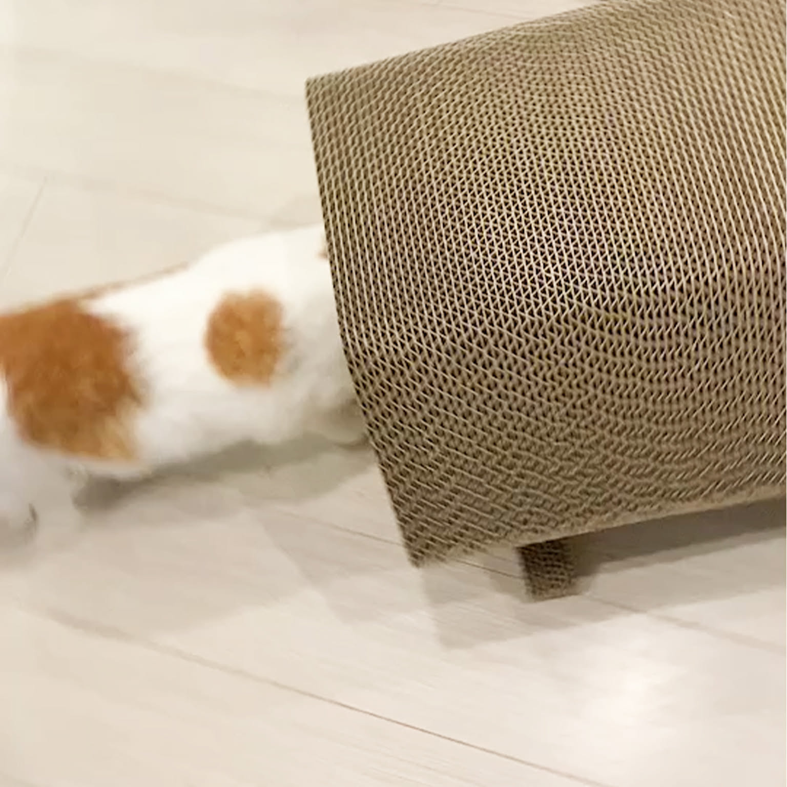 猫用インテリア・猫用家具