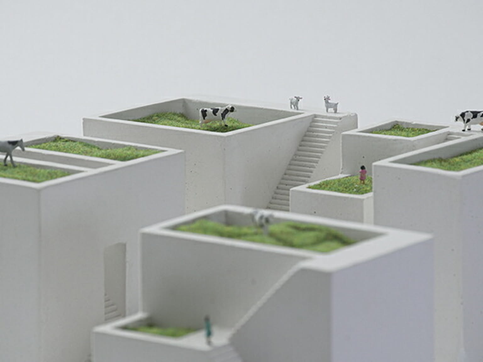 プランター・植木鉢