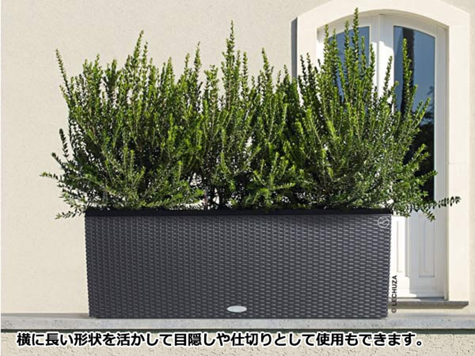 プランター・植木鉢