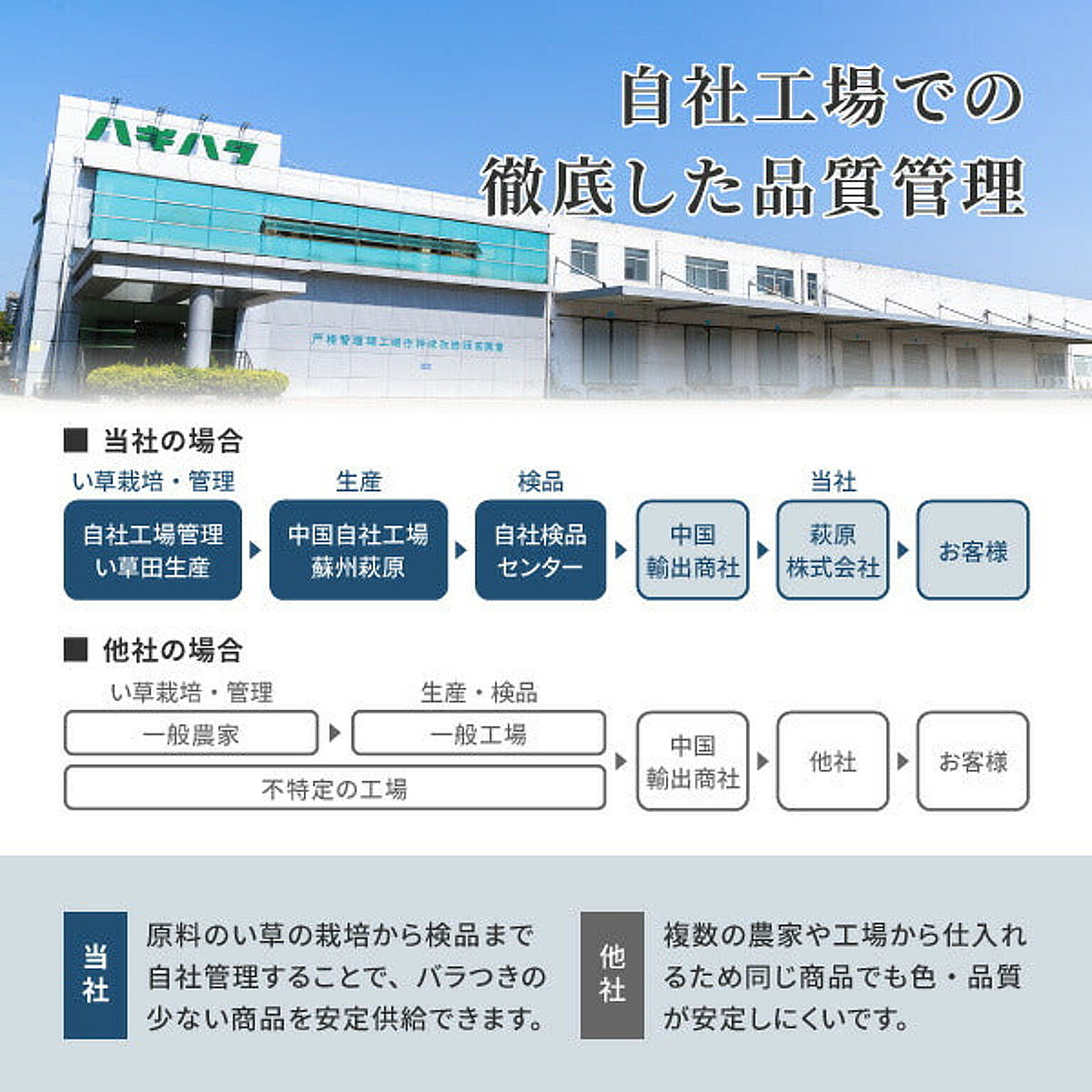 ござ・い草ラグ