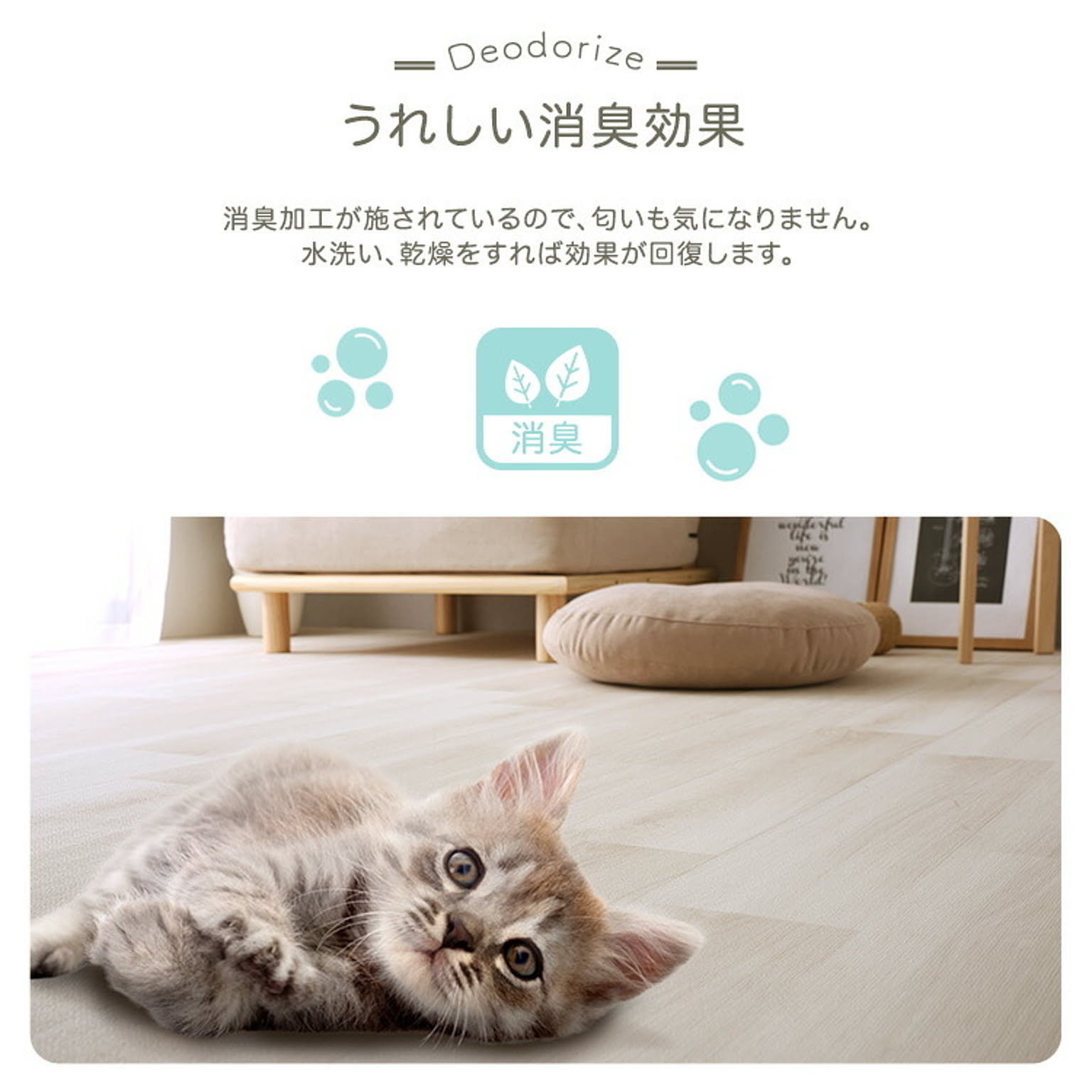 ラグ
