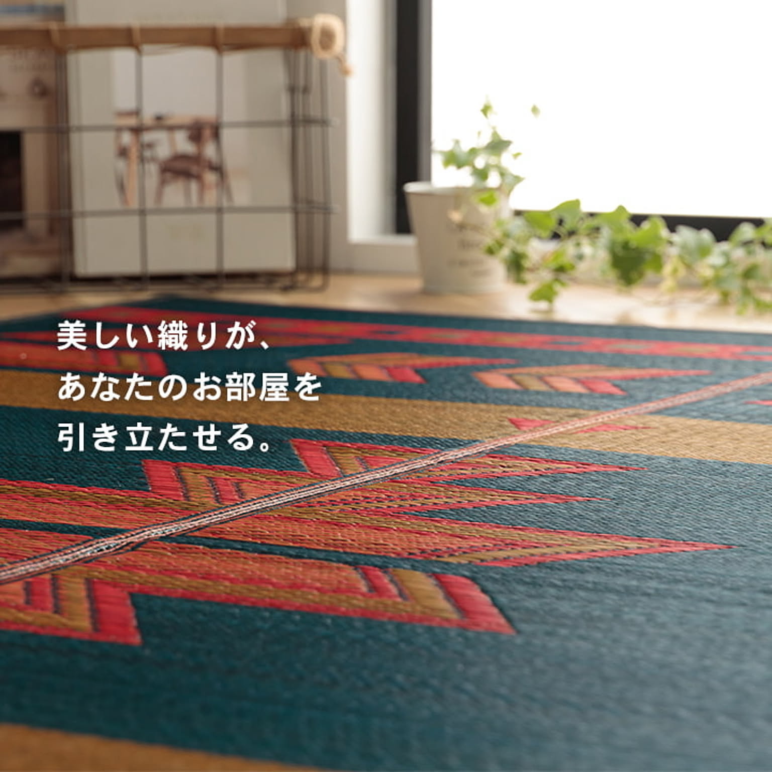 ござ・い草ラグ