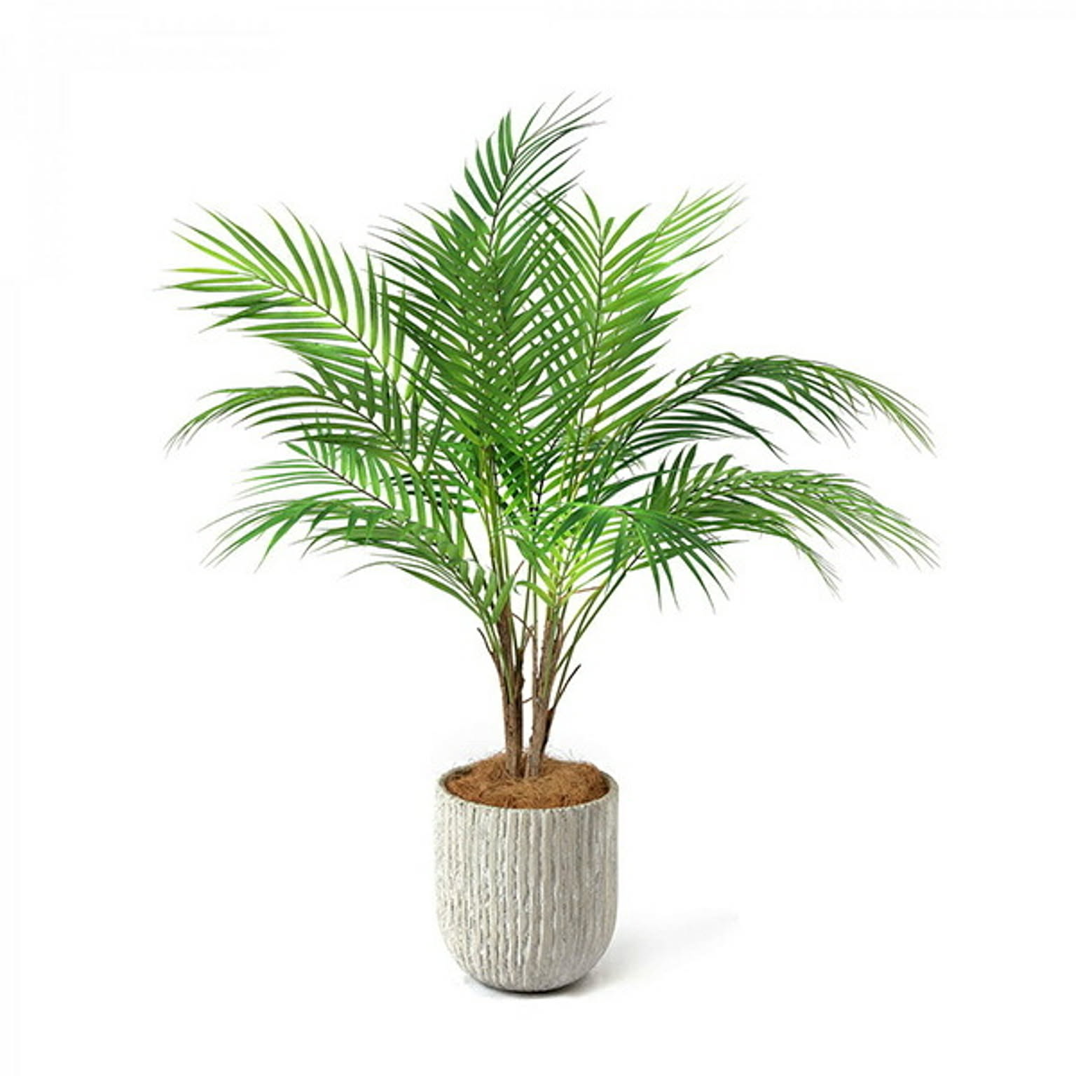 PRGR-1236 パームリーフ オベリスポット H80cm / GREENPARK プリマ GREENPARK PRGR-1236