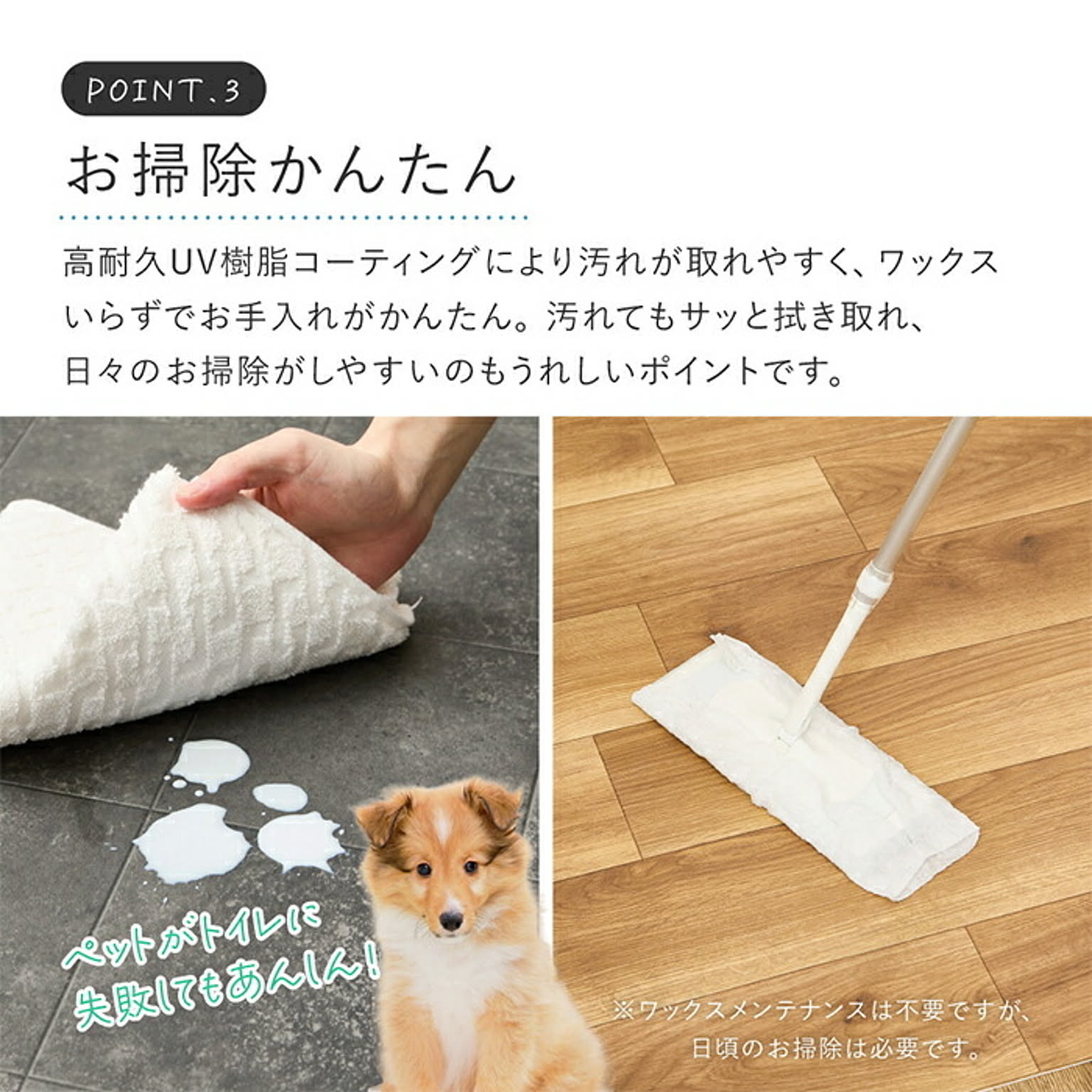 ござ・い草ラグ