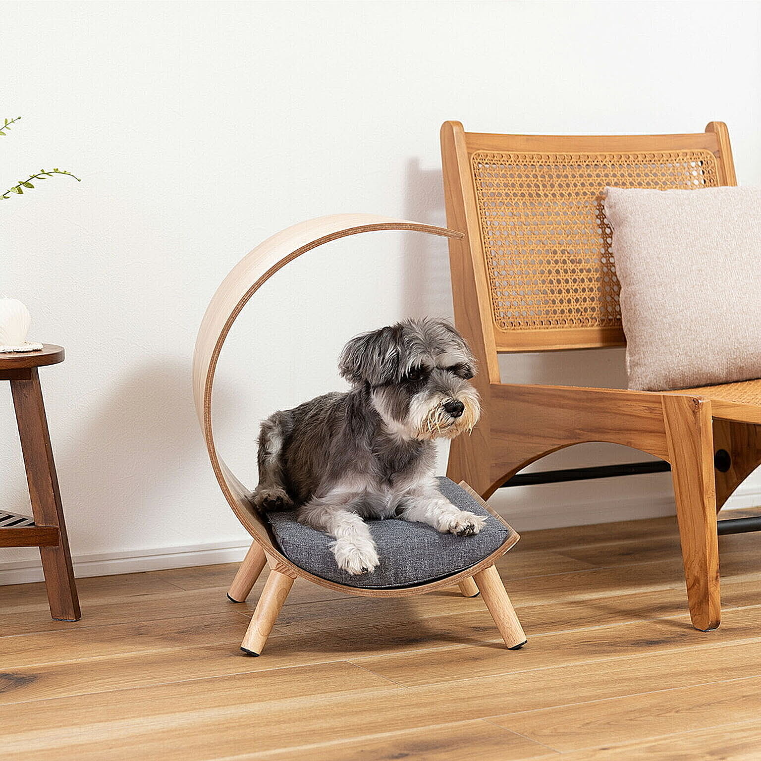 その他の動物のインテリア・その他の動物の家具