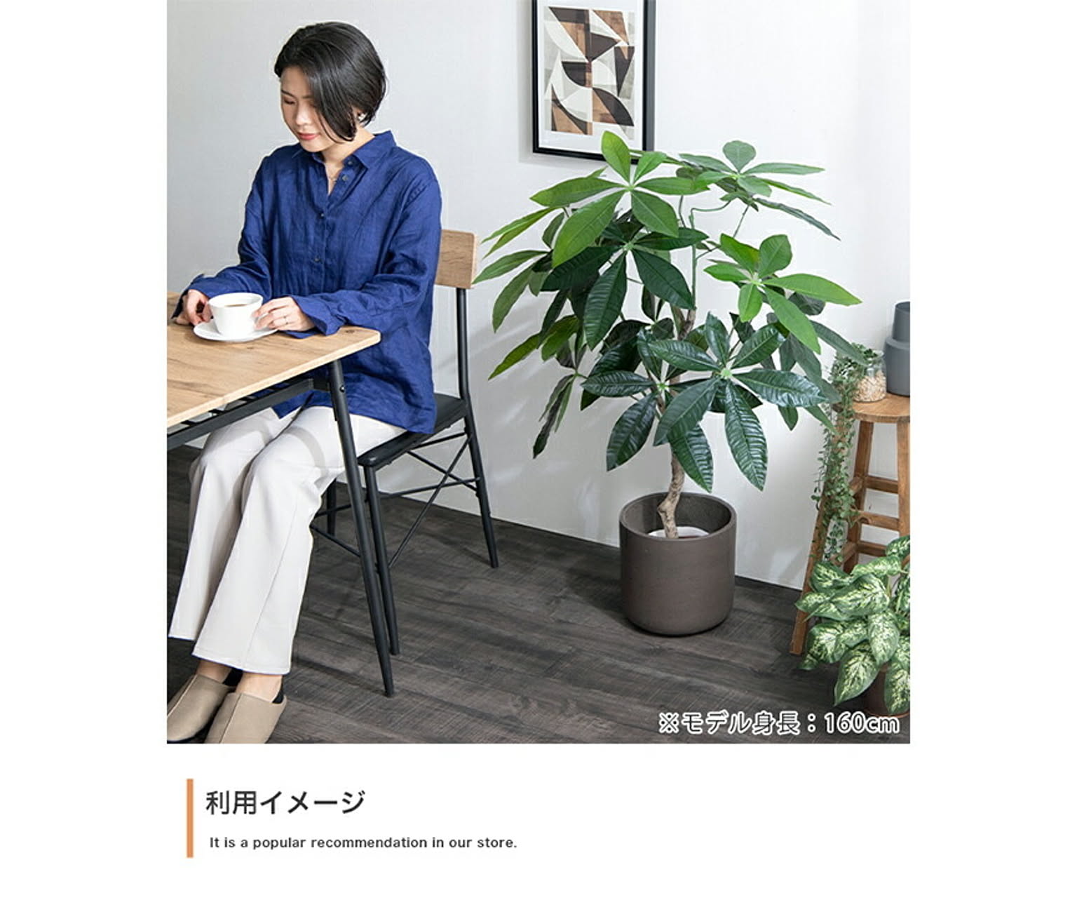 観葉植物