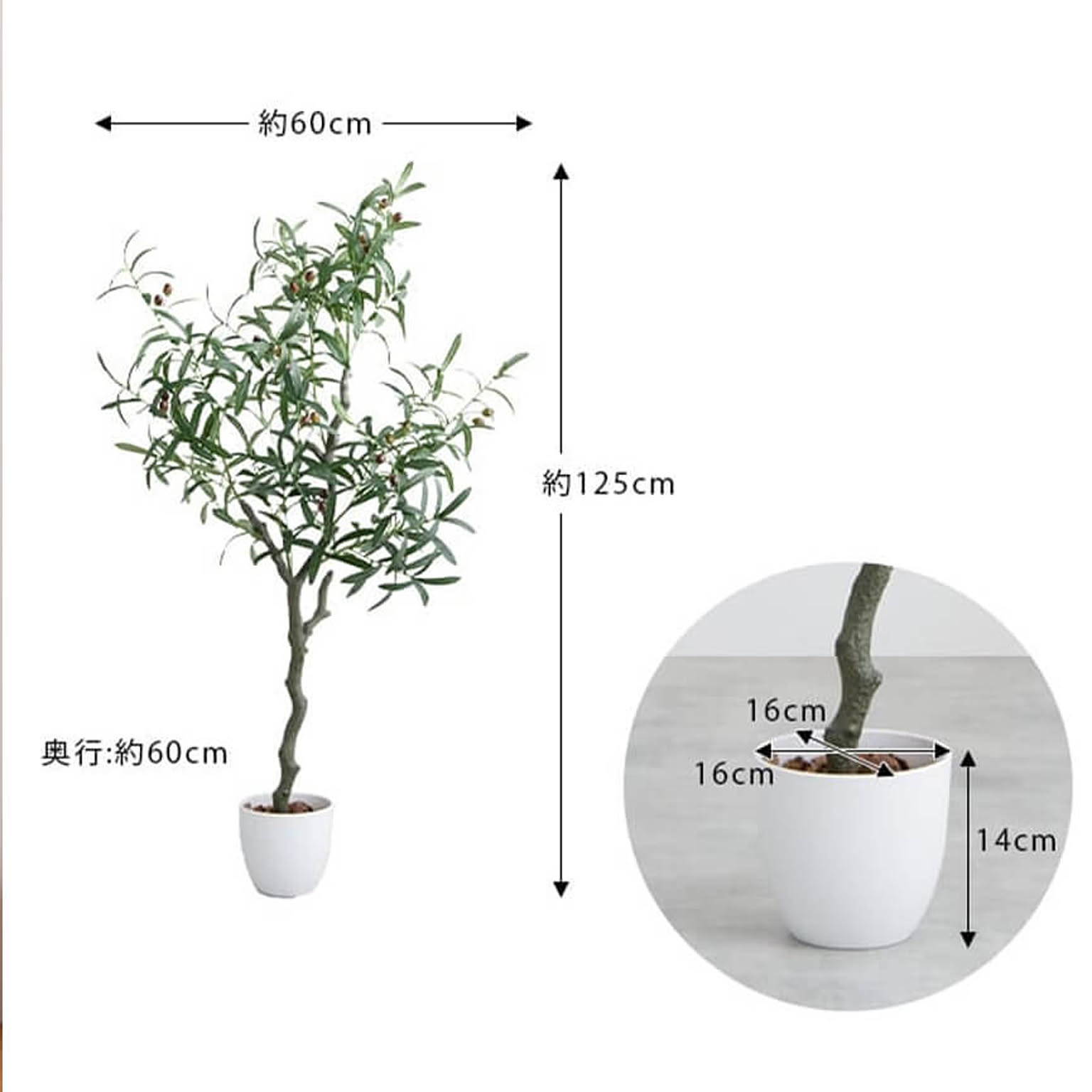 観葉植物