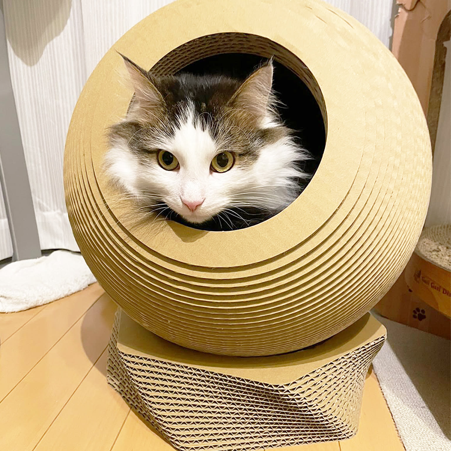 猫用インテリア・猫用家具