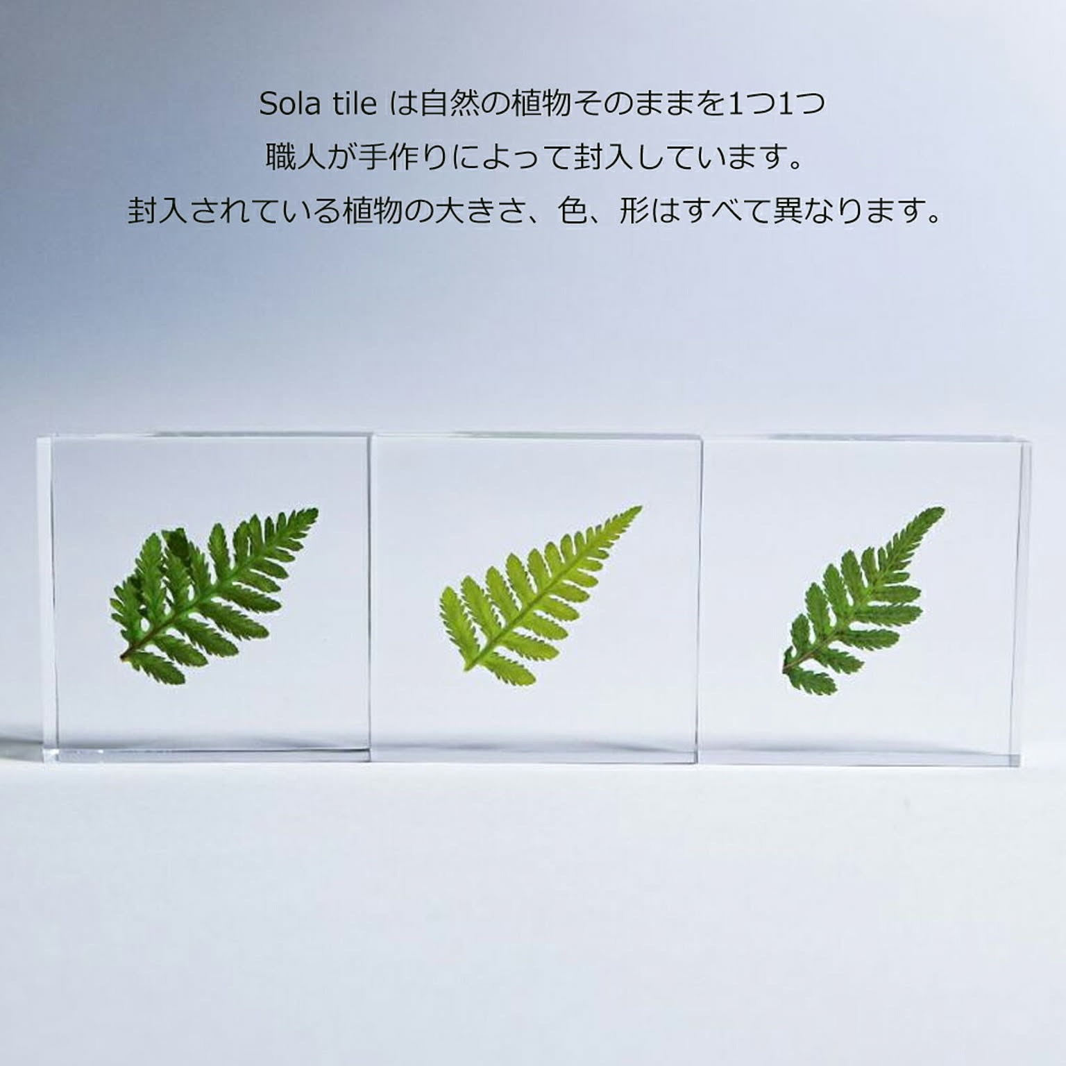 置物・オブジェ
