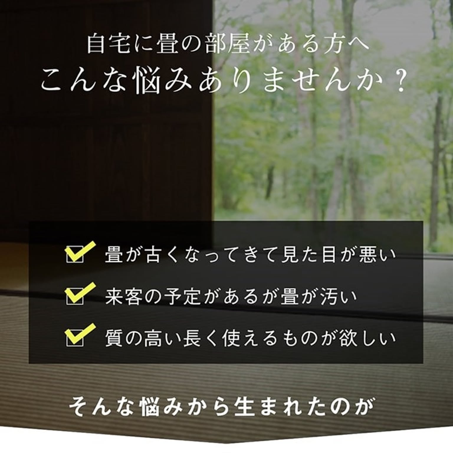 ござ・い草ラグ
