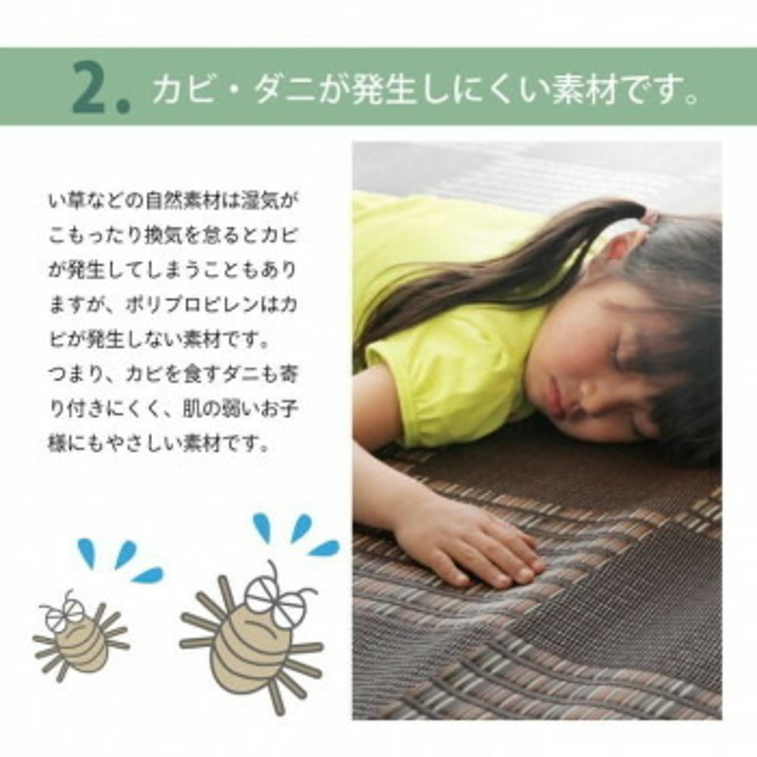 ござ・い草ラグ