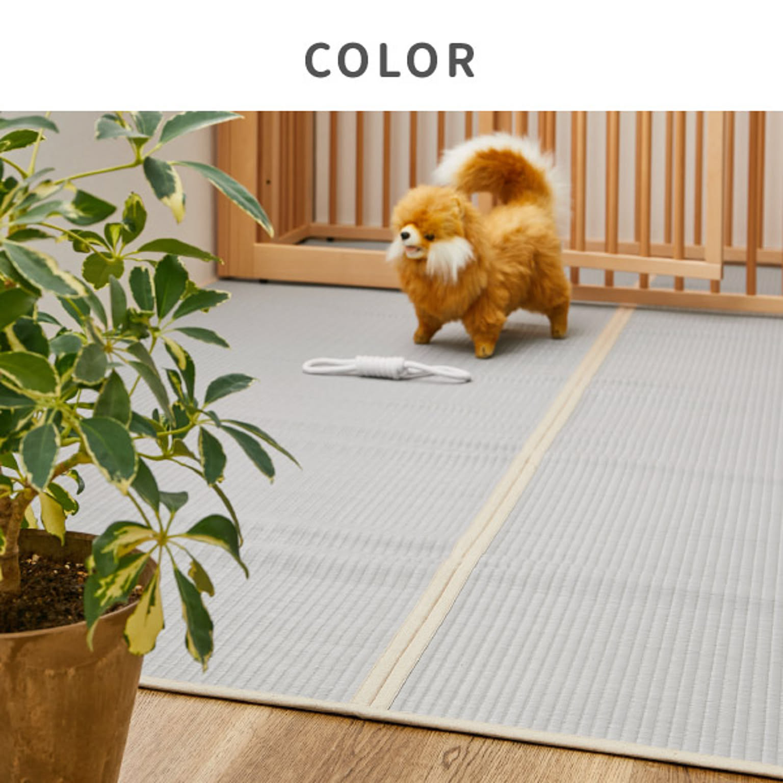 ござ・い草ラグ