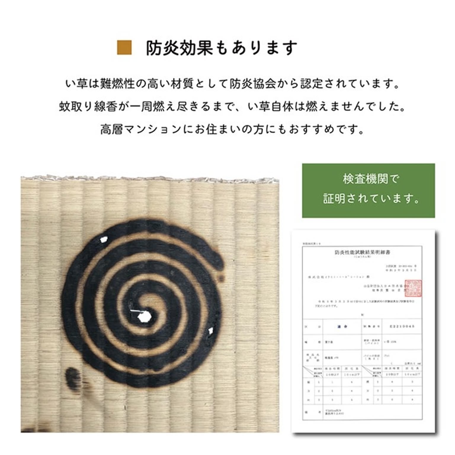 ござ・い草ラグ