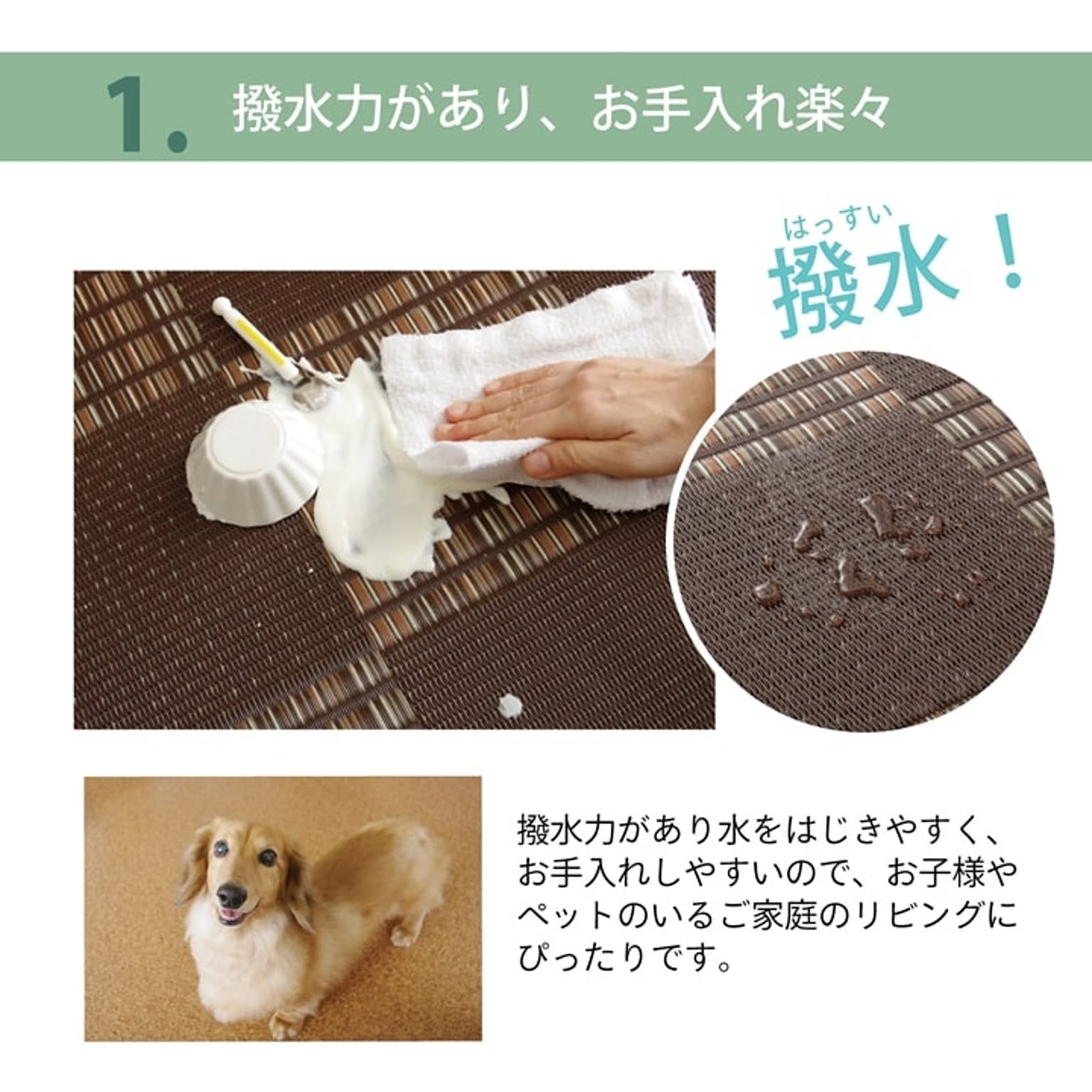 ござ・い草ラグ