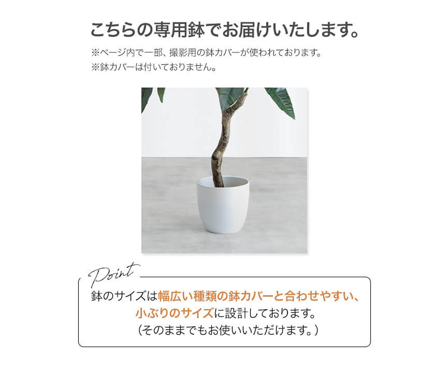観葉植物