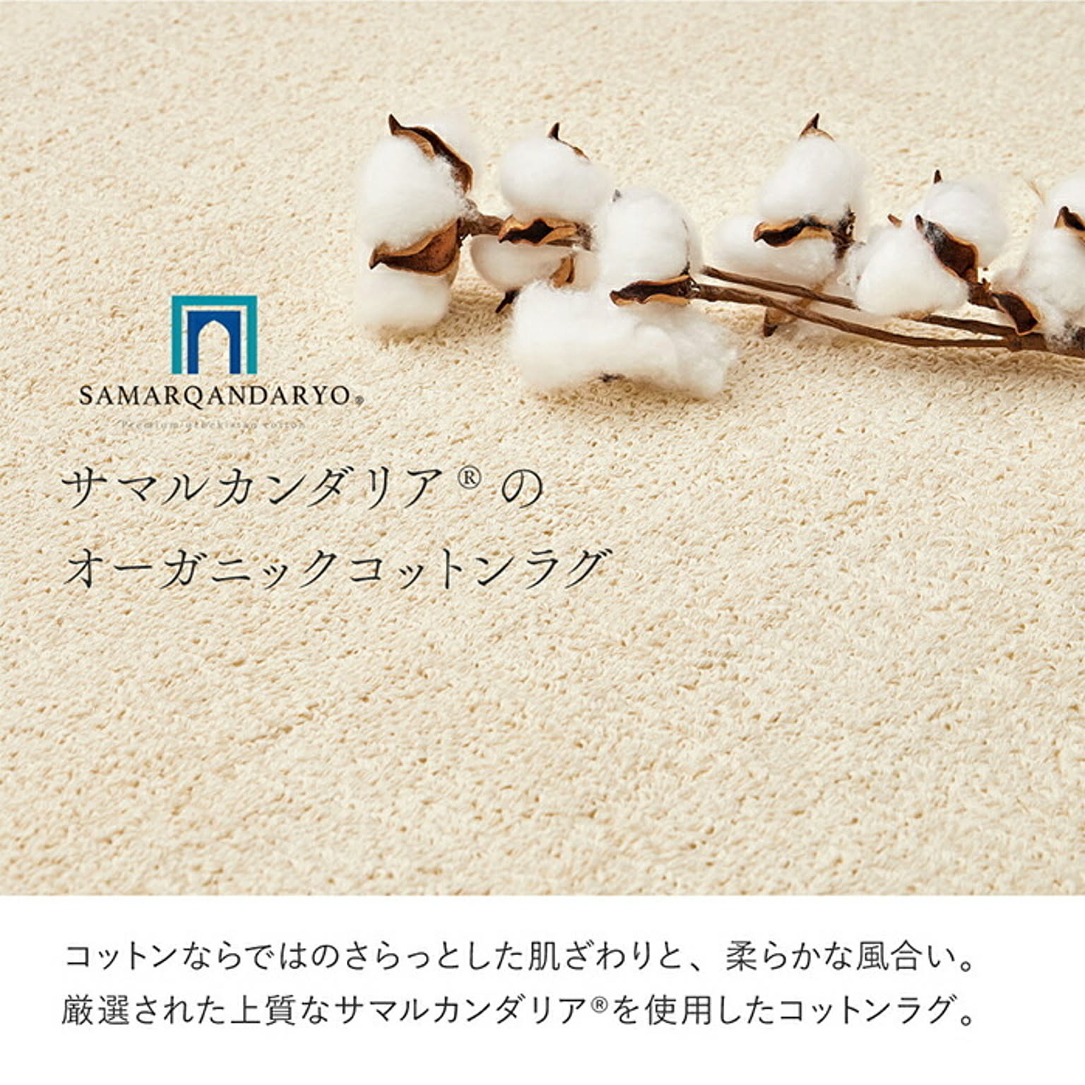 ラグ