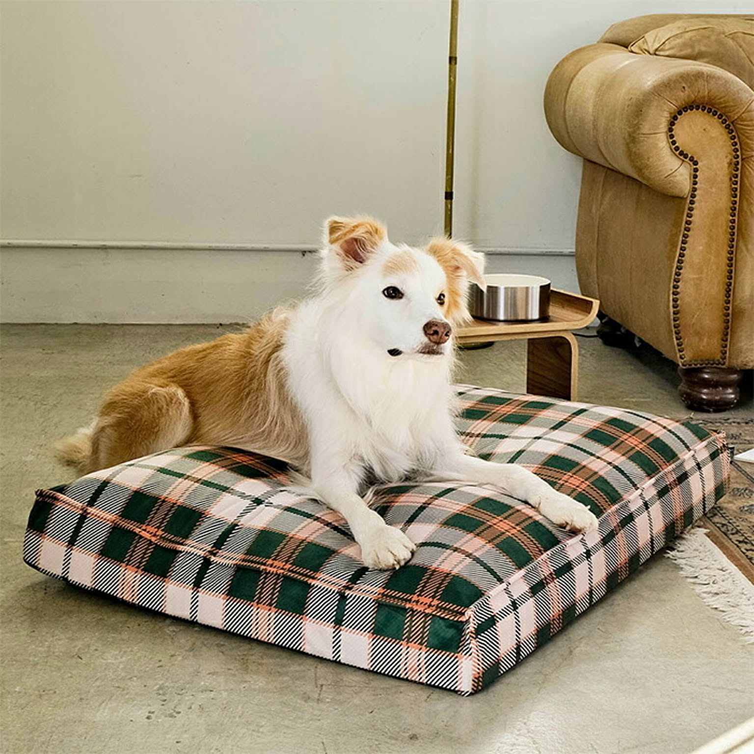 その他の動物のインテリア・その他の動物の家具