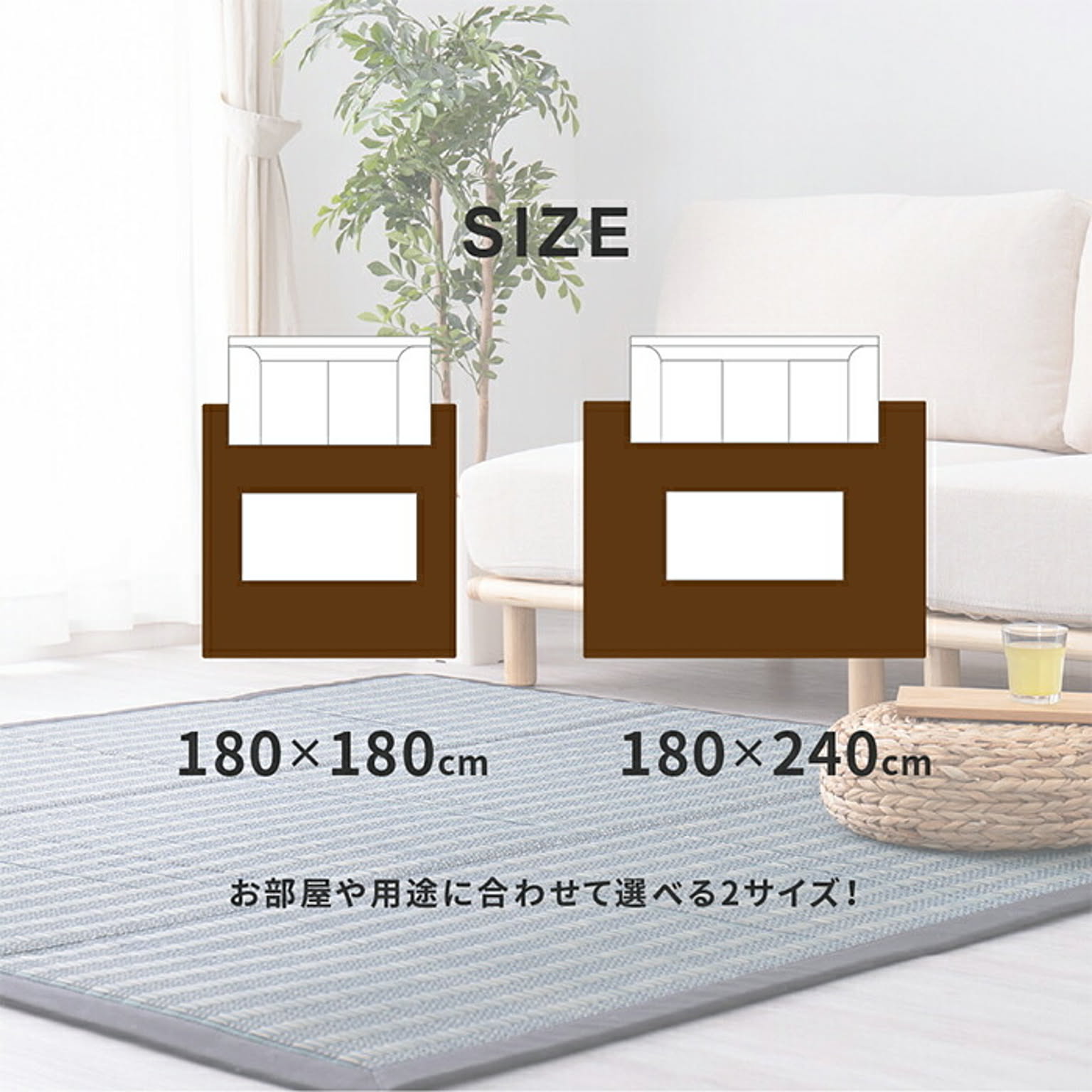 ござ・い草ラグ