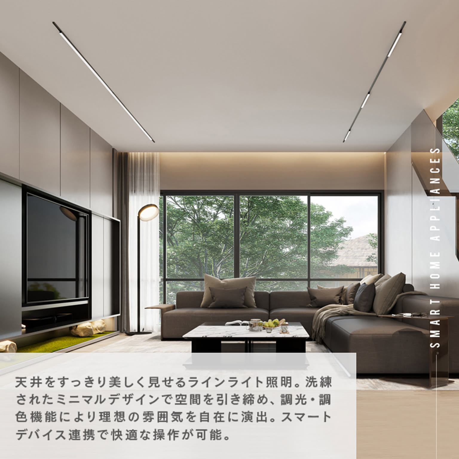 シーリングライト