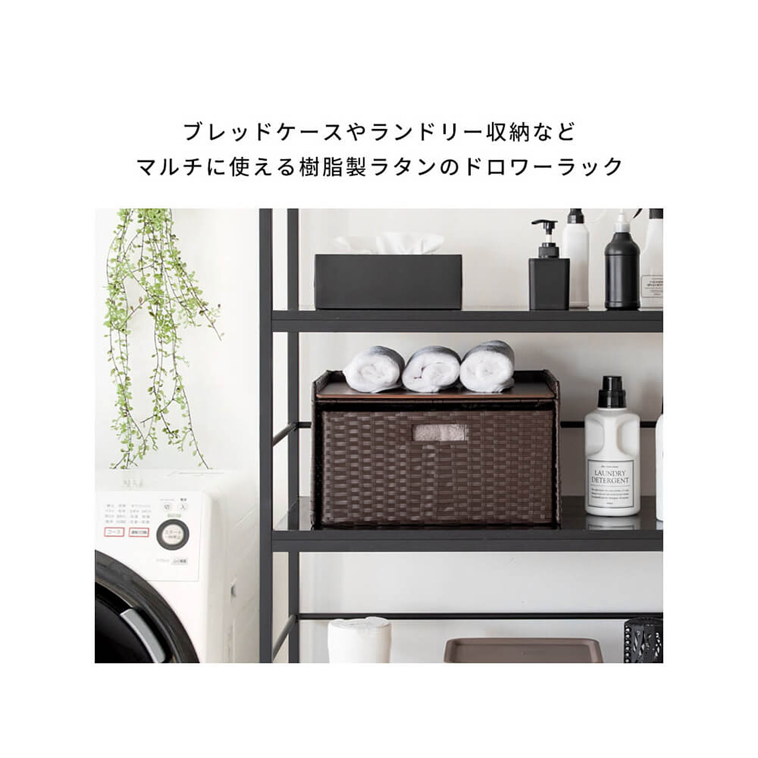 ブレッドケース