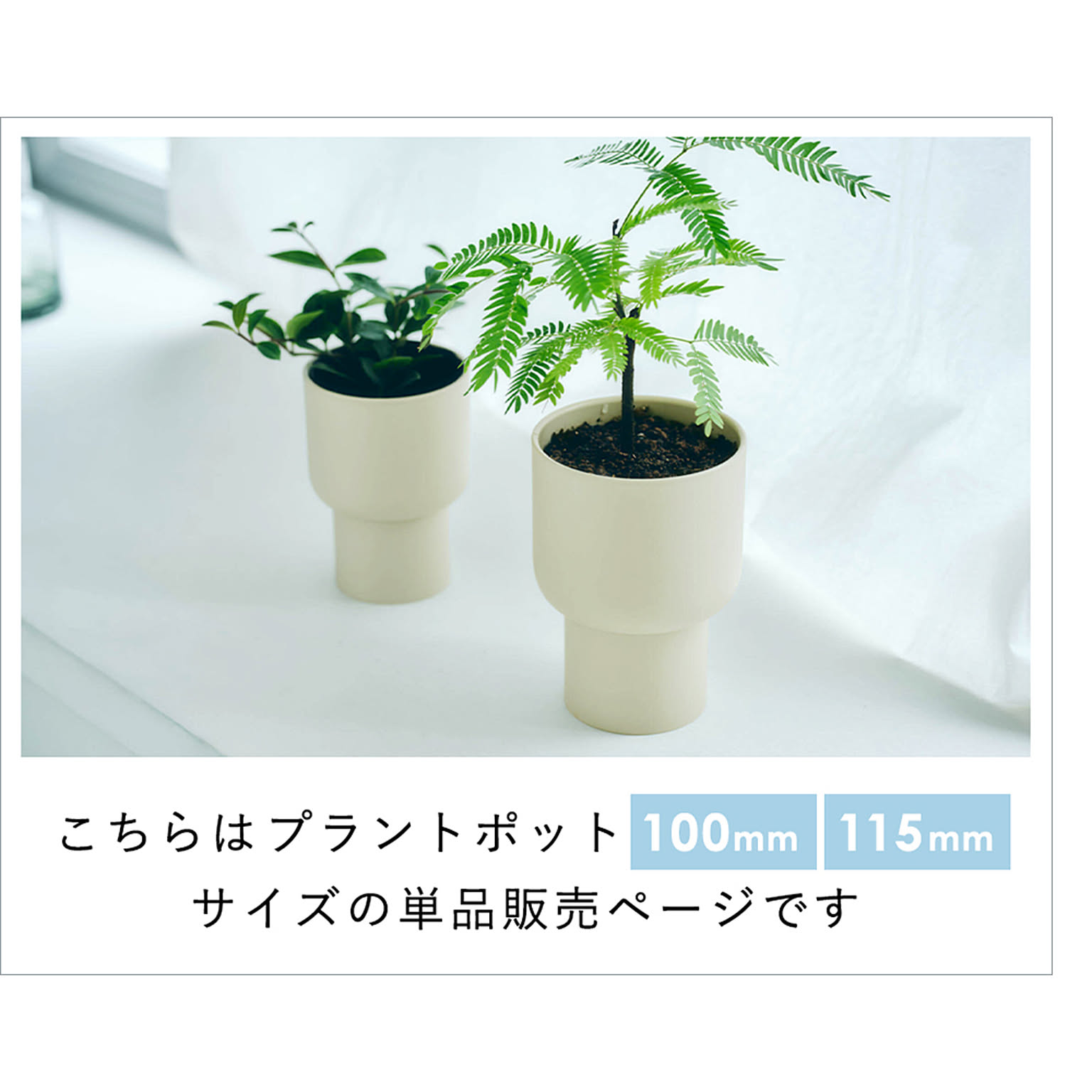 プランター・植木鉢