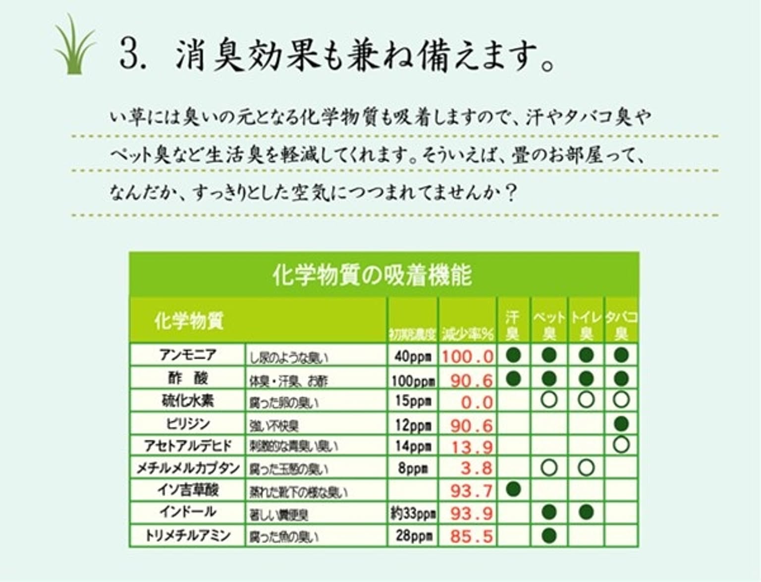 ござ・い草ラグ