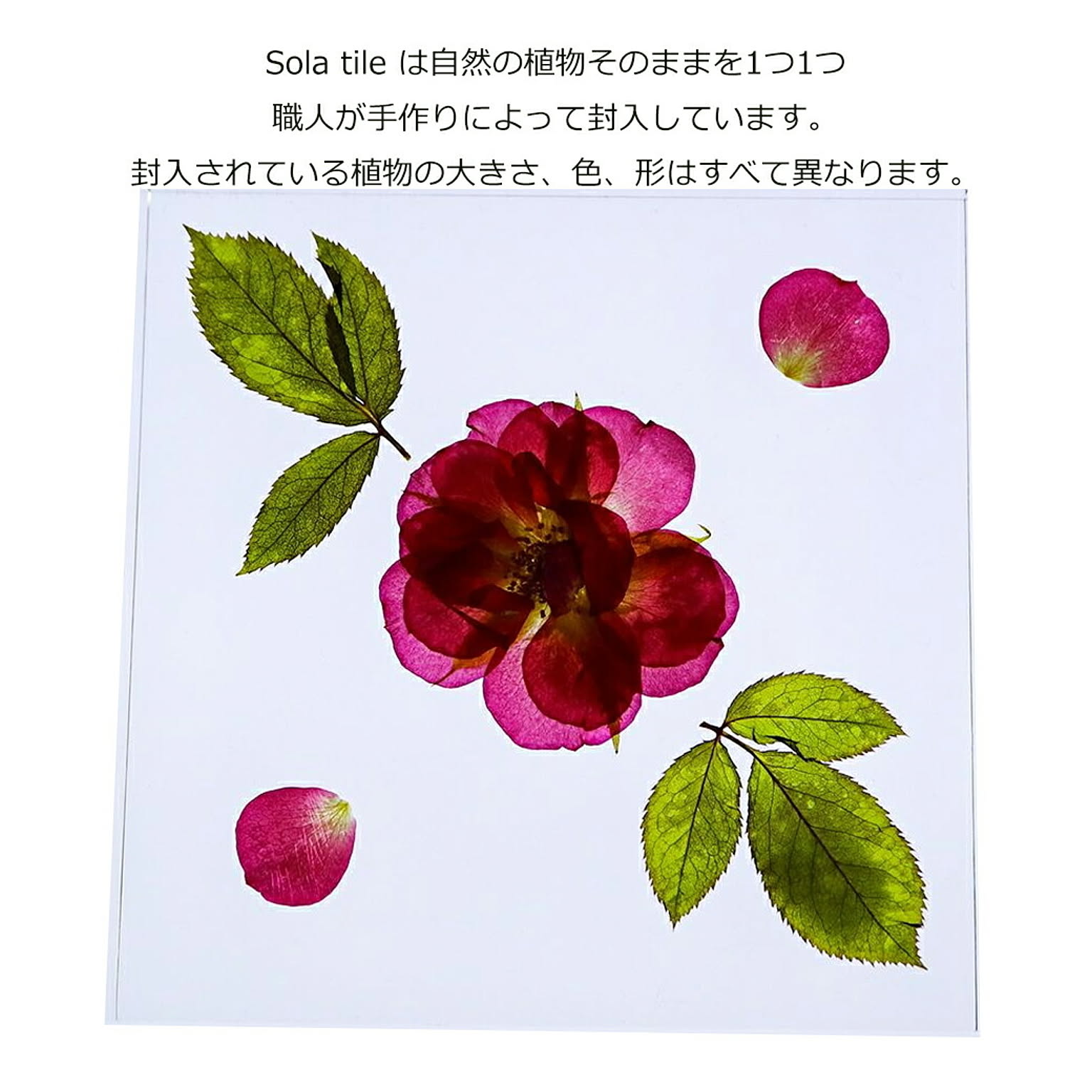 置物・オブジェ