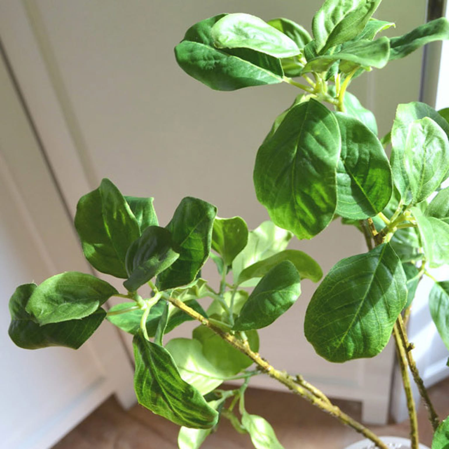 フェイクグリーン