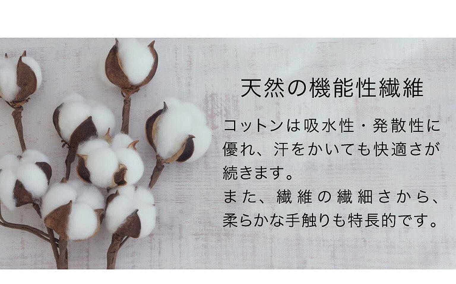 座布団・長座布団
