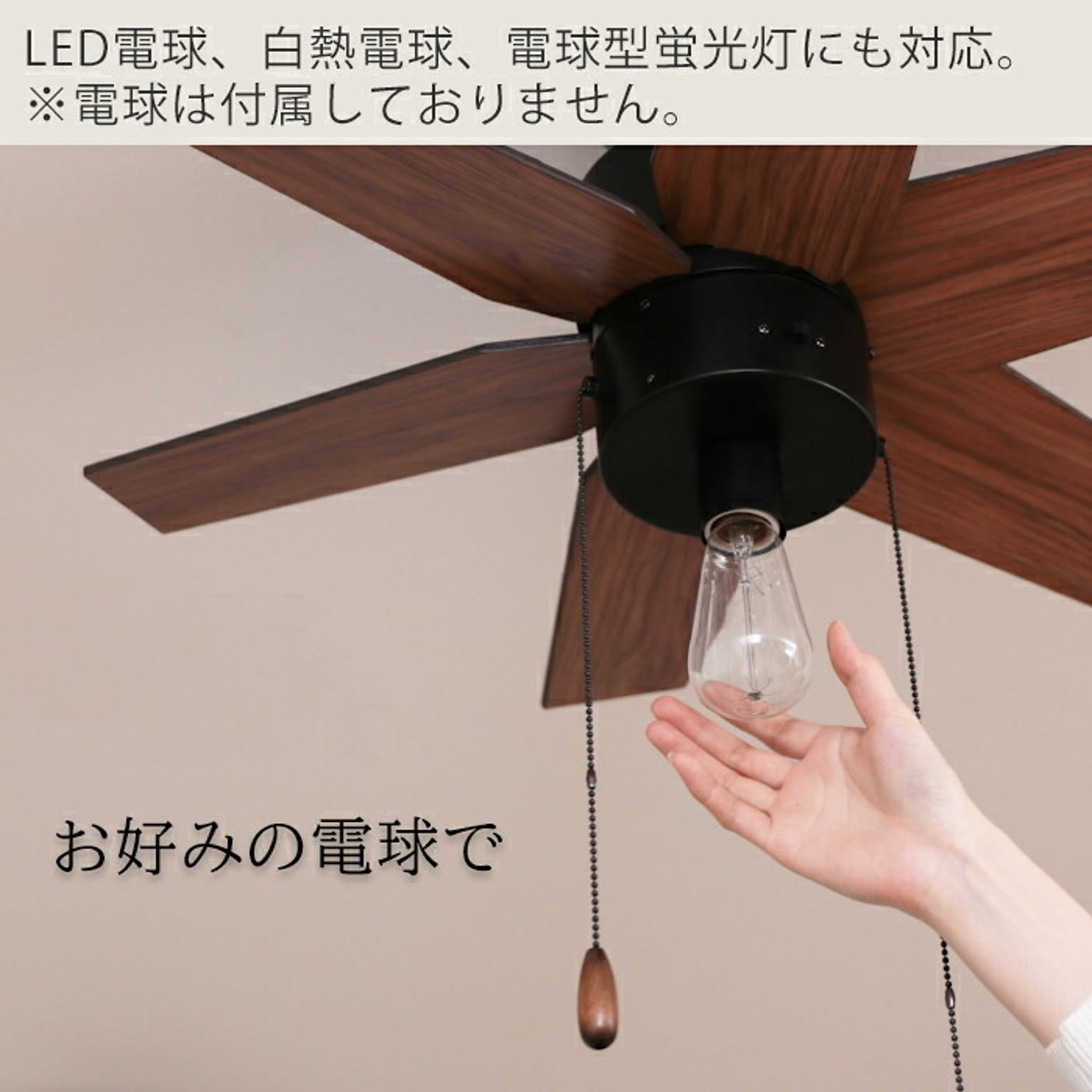 シーリングファンライト