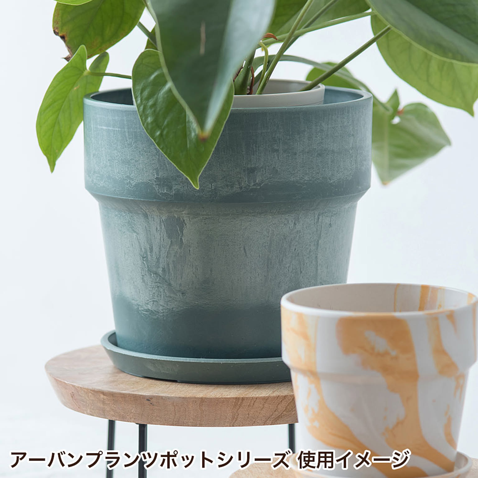 プランター・植木鉢
