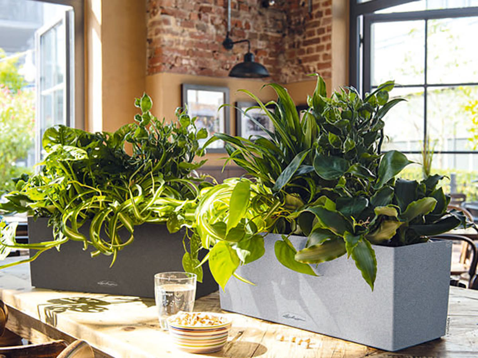 プランター・植木鉢