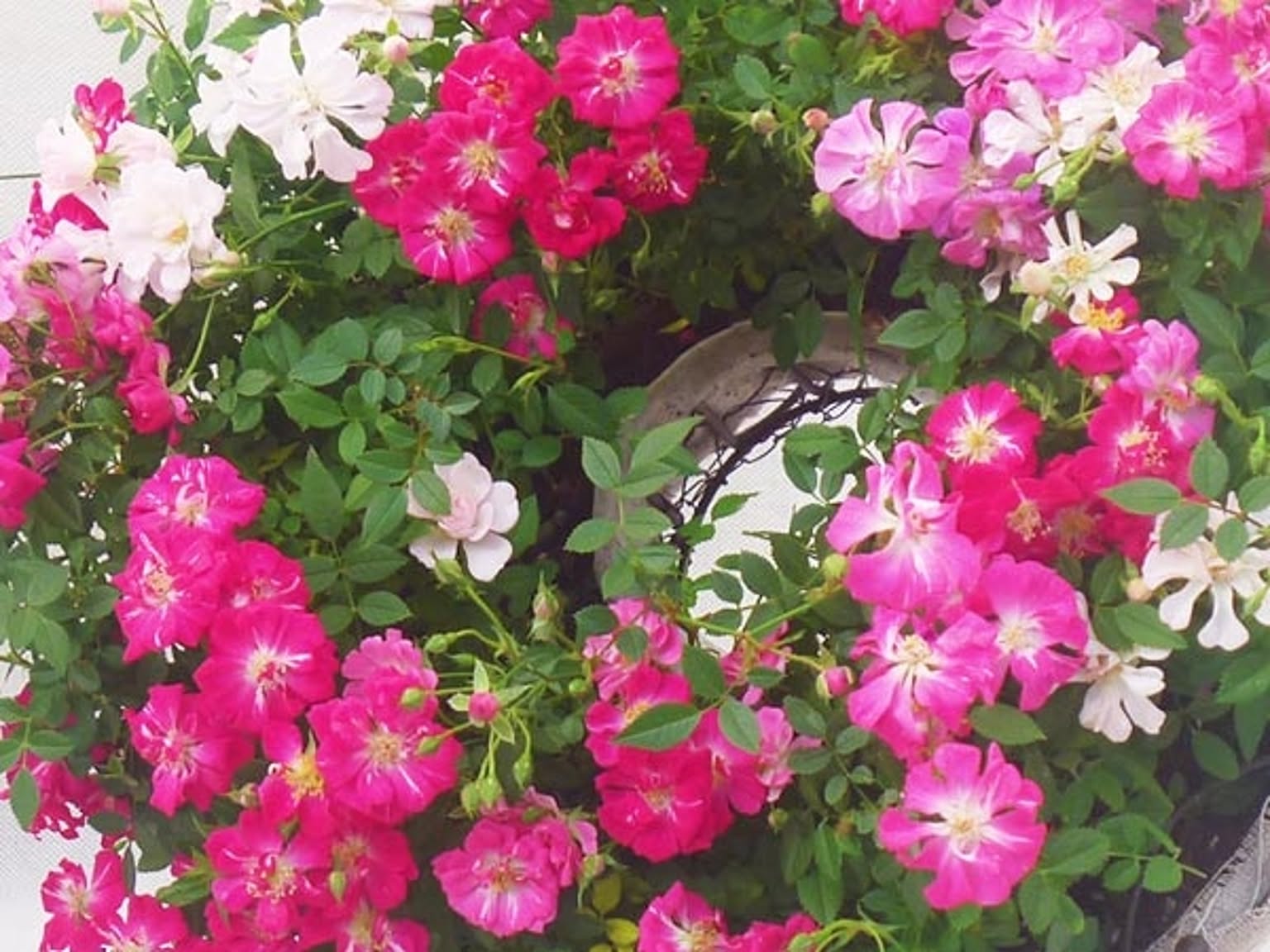 造花・アートフラワー