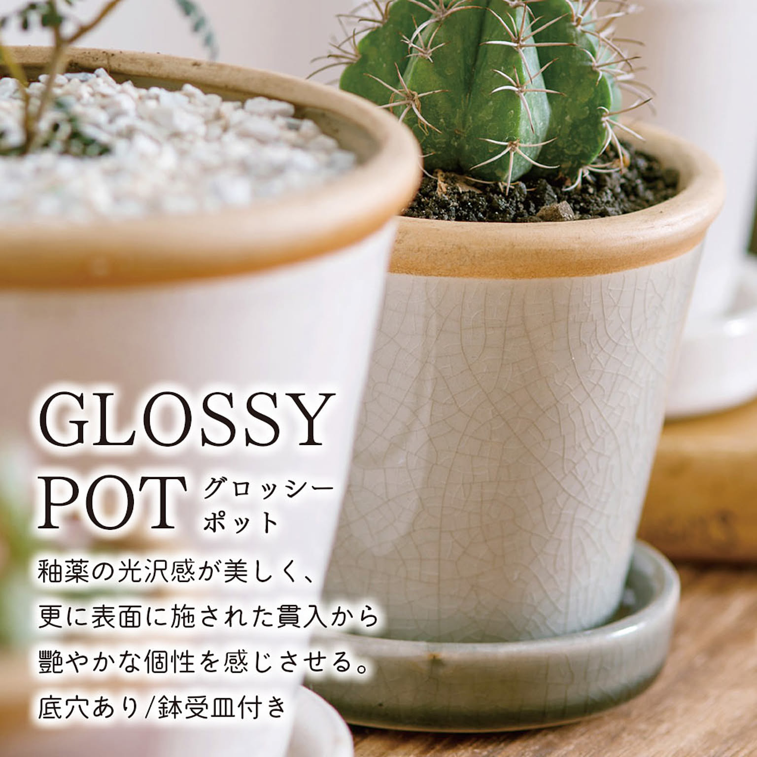 プランター・植木鉢