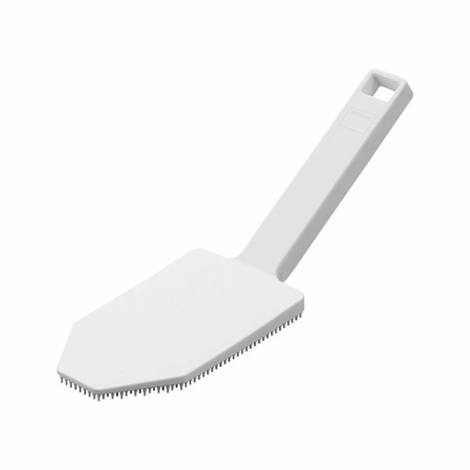 スポンジ