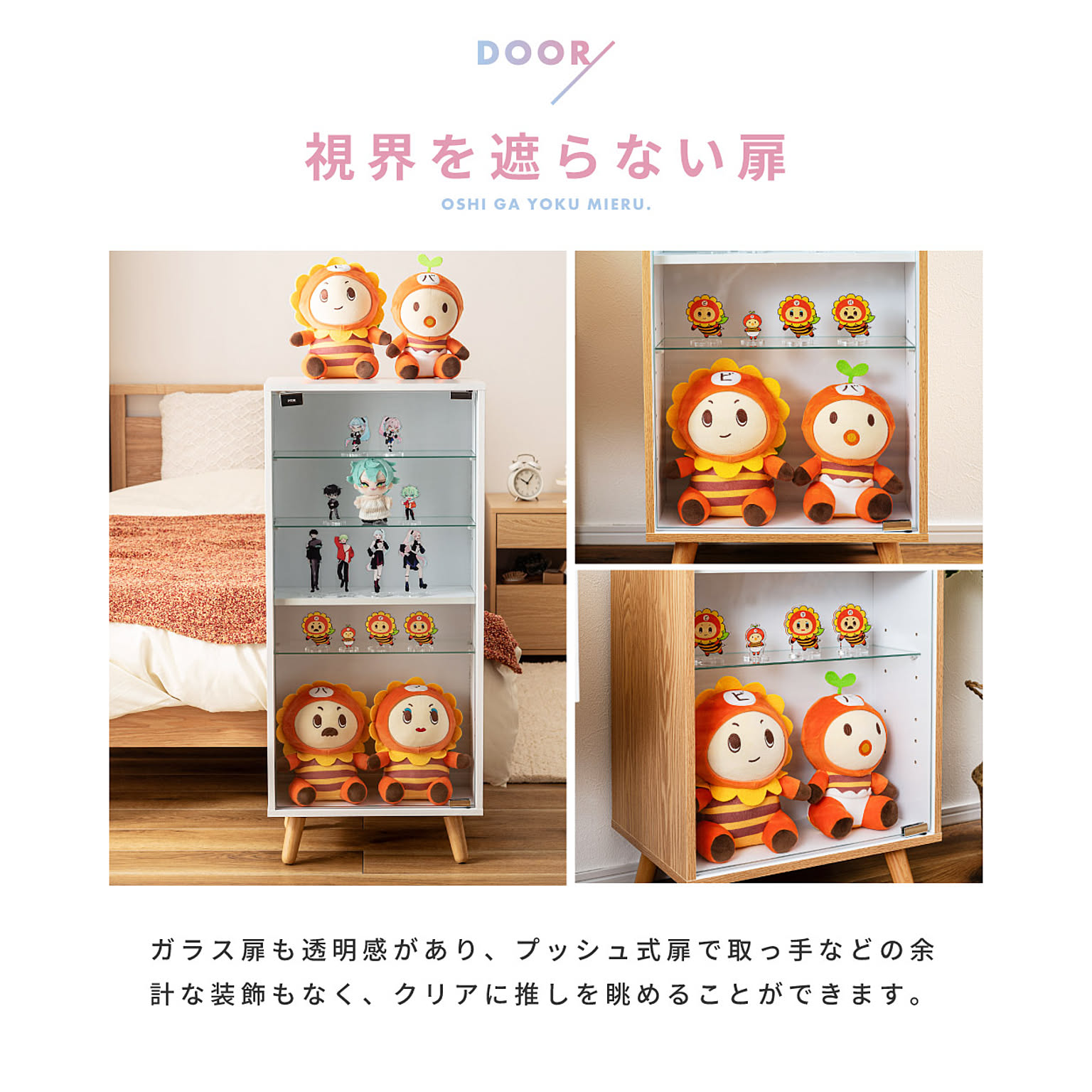 コレクションケース