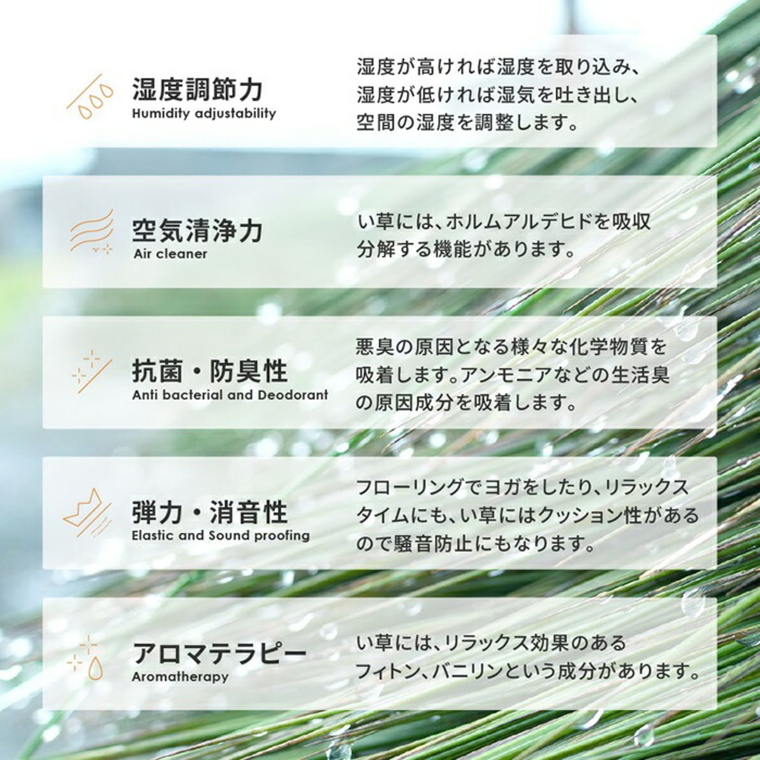 ござ・い草ラグ