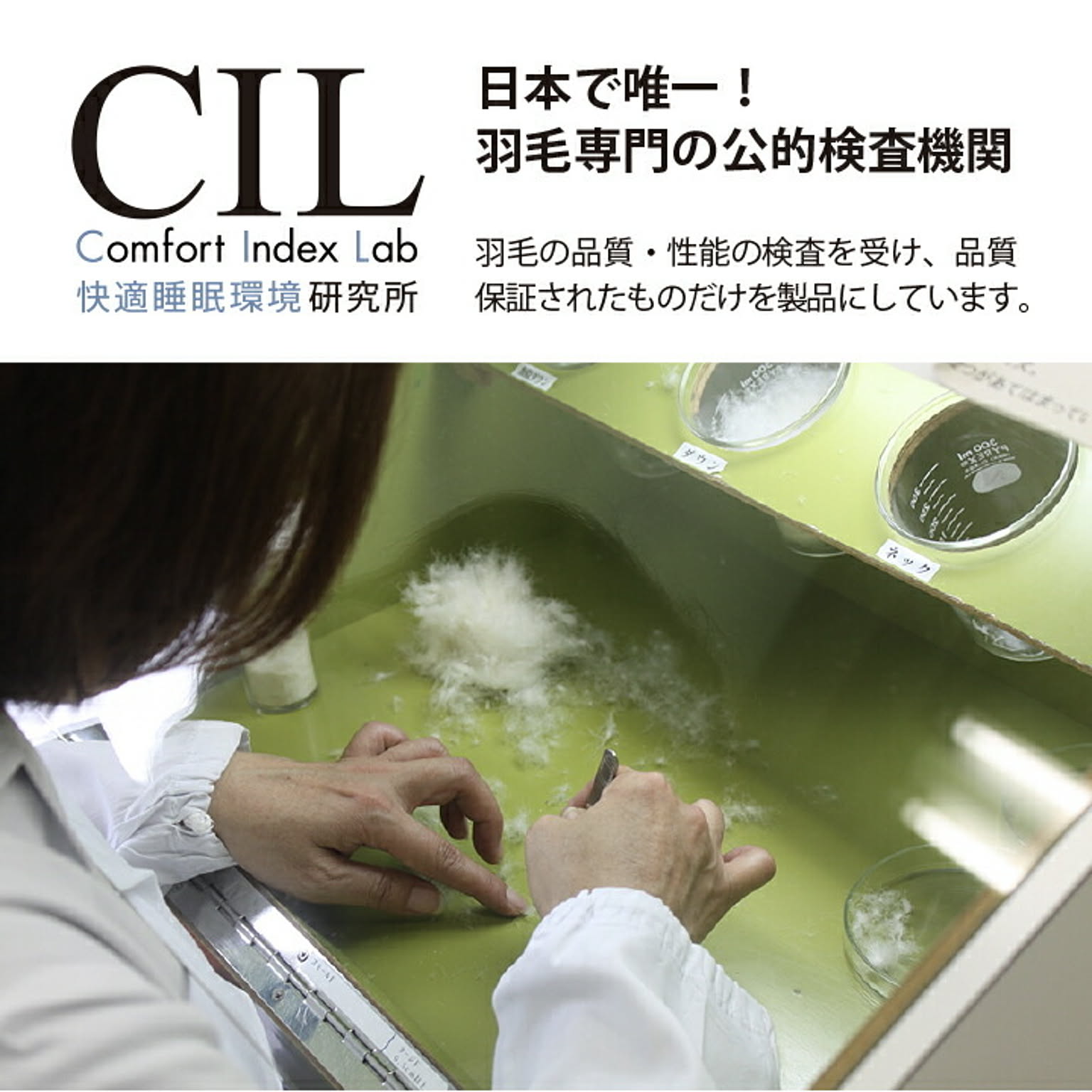 掛け布団
